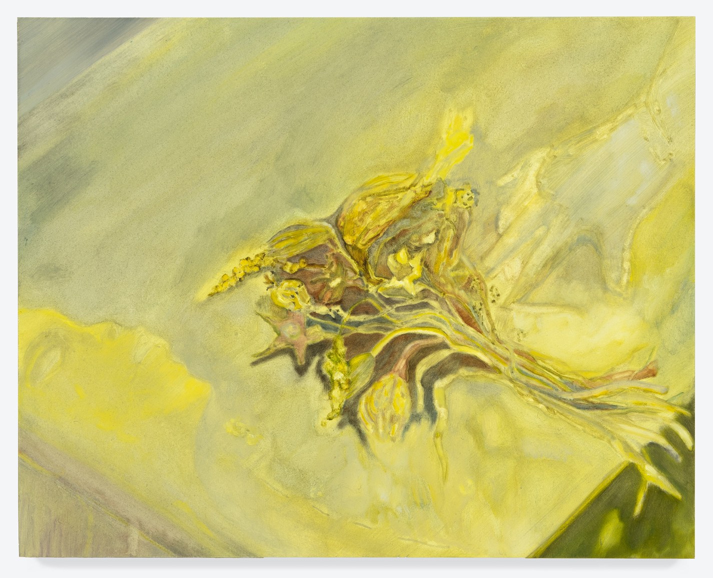 Lexia Hachtmann, Waiting Room at YveYANG Gallery, photo 15