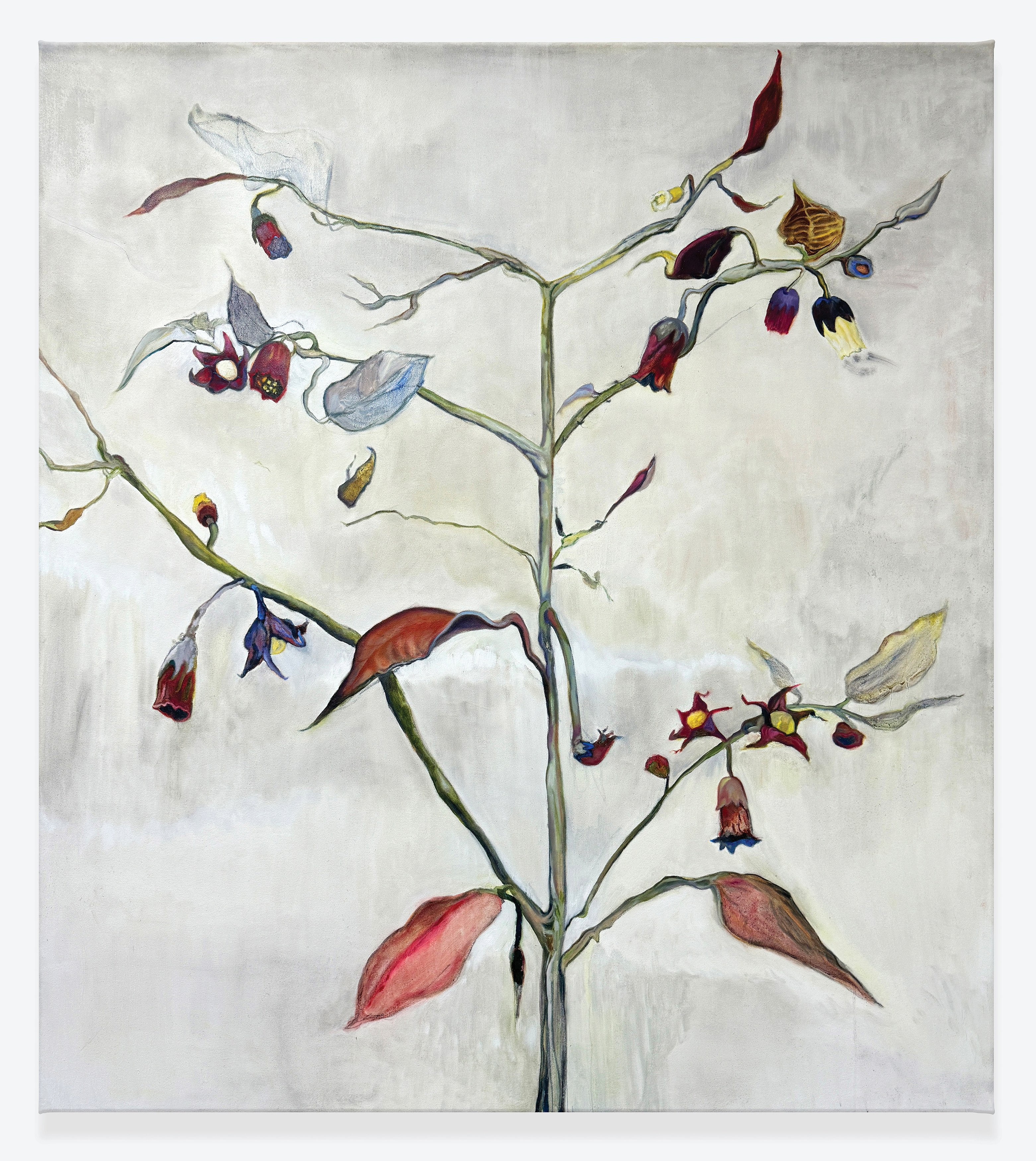 Lexia Hachtmann, Waiting Room at YveYANG Gallery, photo 11