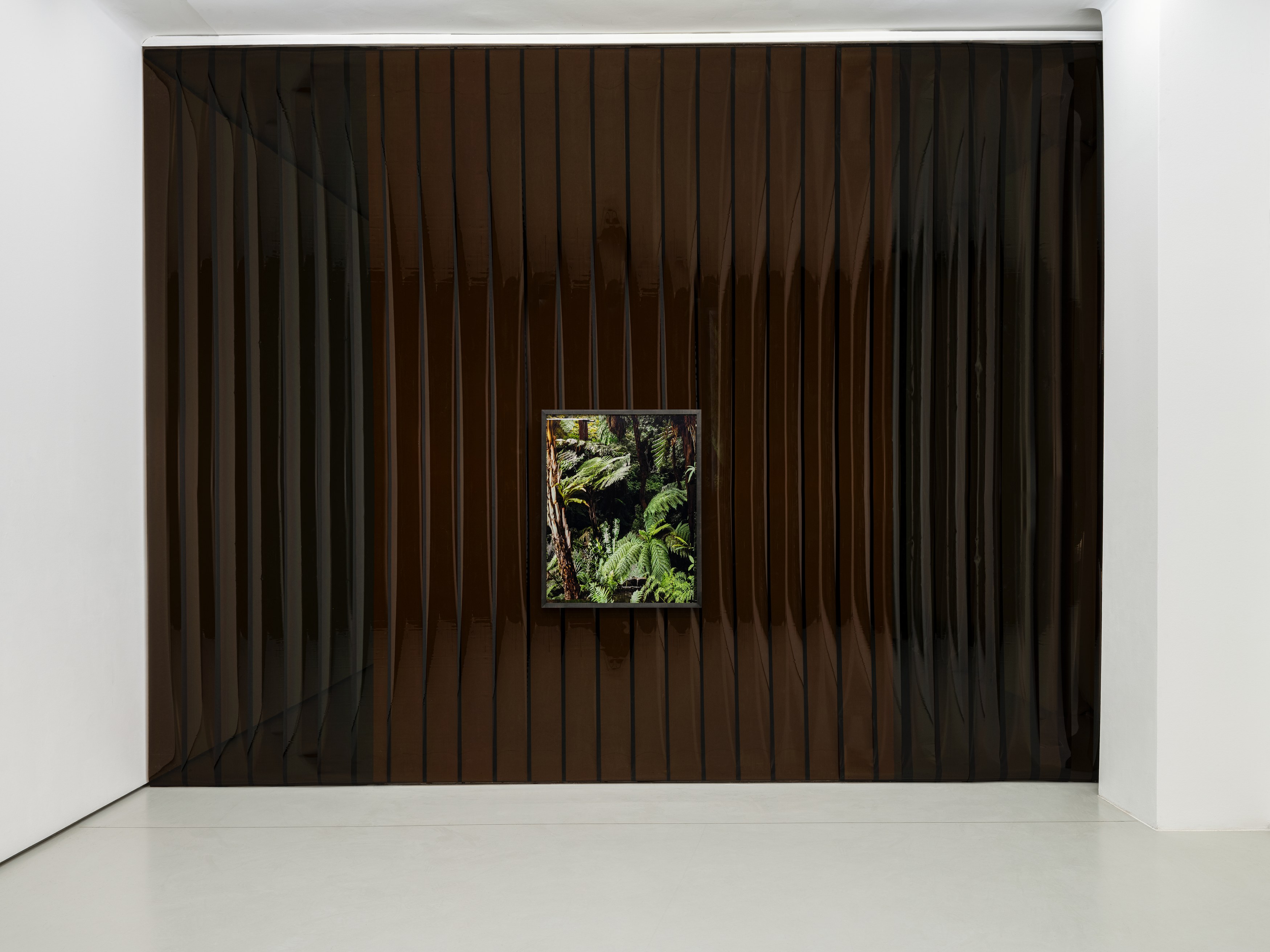 Noémie Goudal, Inhale Exhale at alexander levy, Berlin and LEVY Galerie, Berlin, photo 3