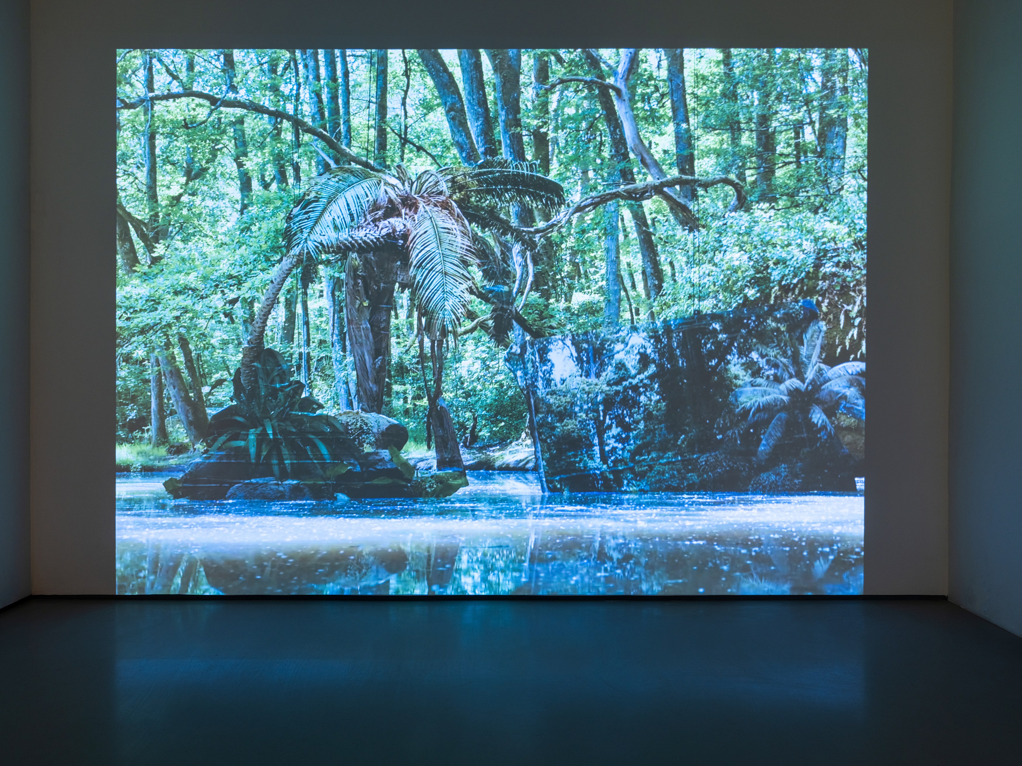 Noémie Goudal, Inhale Exhale at alexander levy, Berlin and LEVY Galerie, Berlin, photo 6