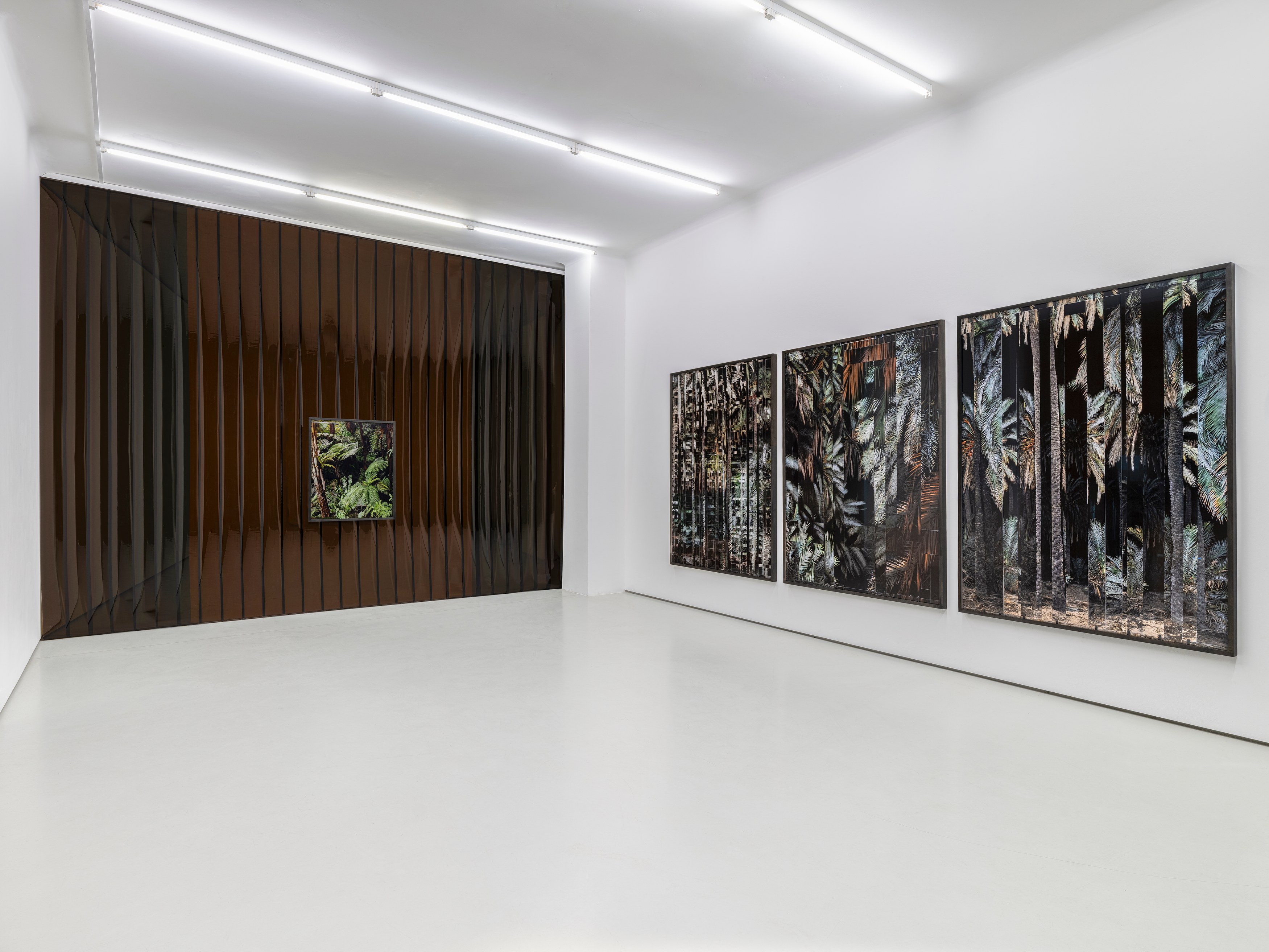 Noémie Goudal, Inhale Exhale at alexander levy, Berlin and LEVY Galerie, Berlin, photo 2