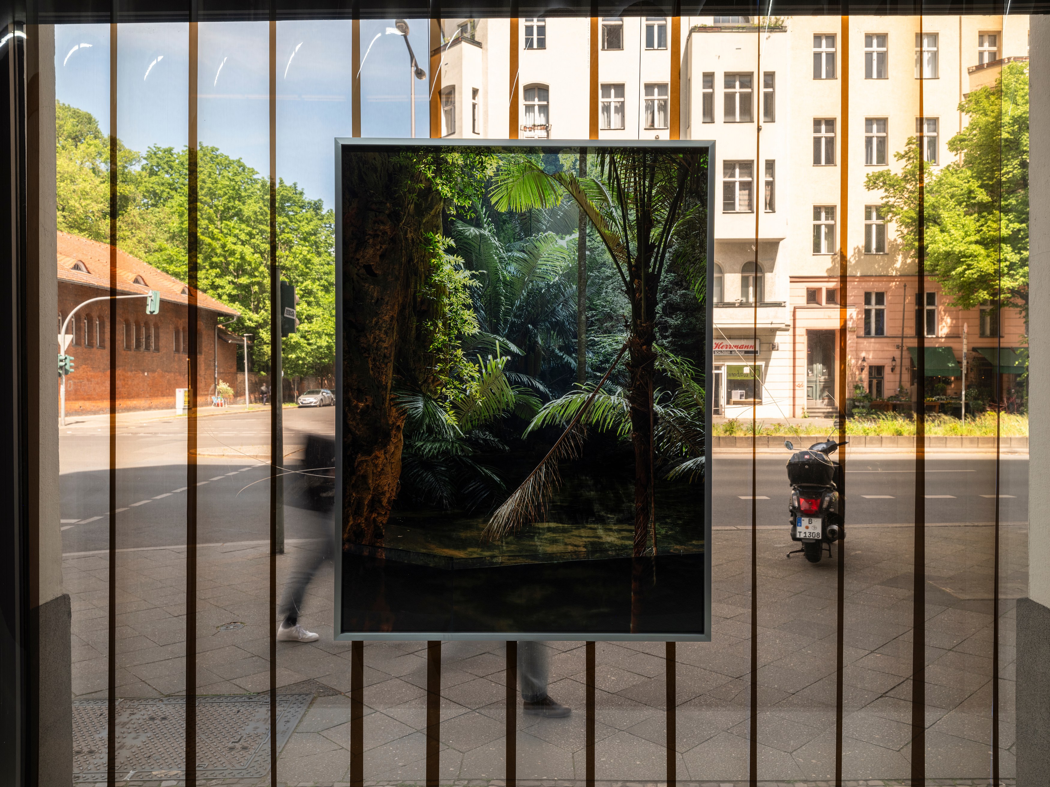 Noémie Goudal, Inhale Exhale at alexander levy, Berlin and LEVY Galerie, Berlin, photo 4