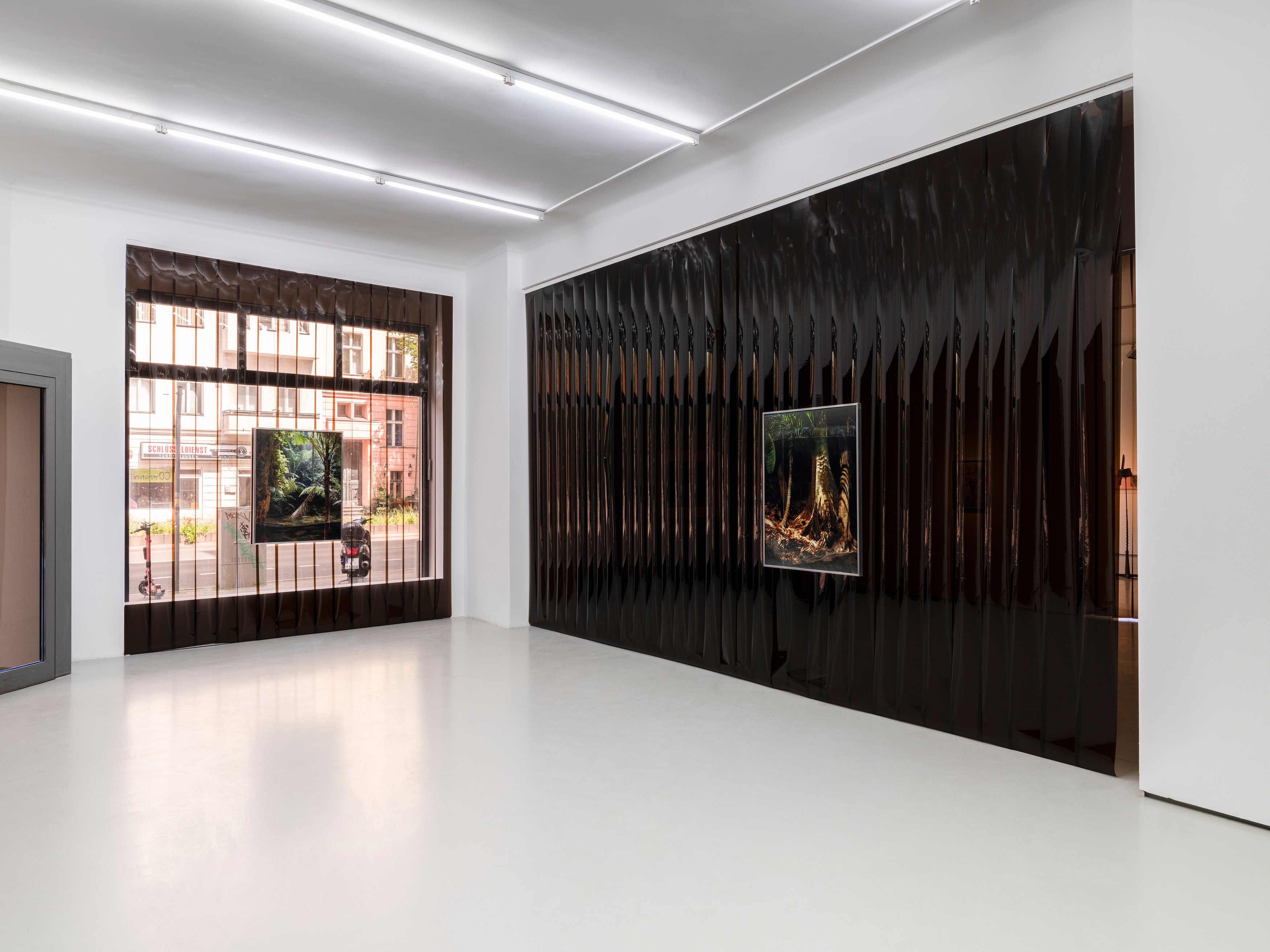 Noémie Goudal, Inhale Exhale at alexander levy, Berlin and LEVY Galerie, Berlin, photo 5