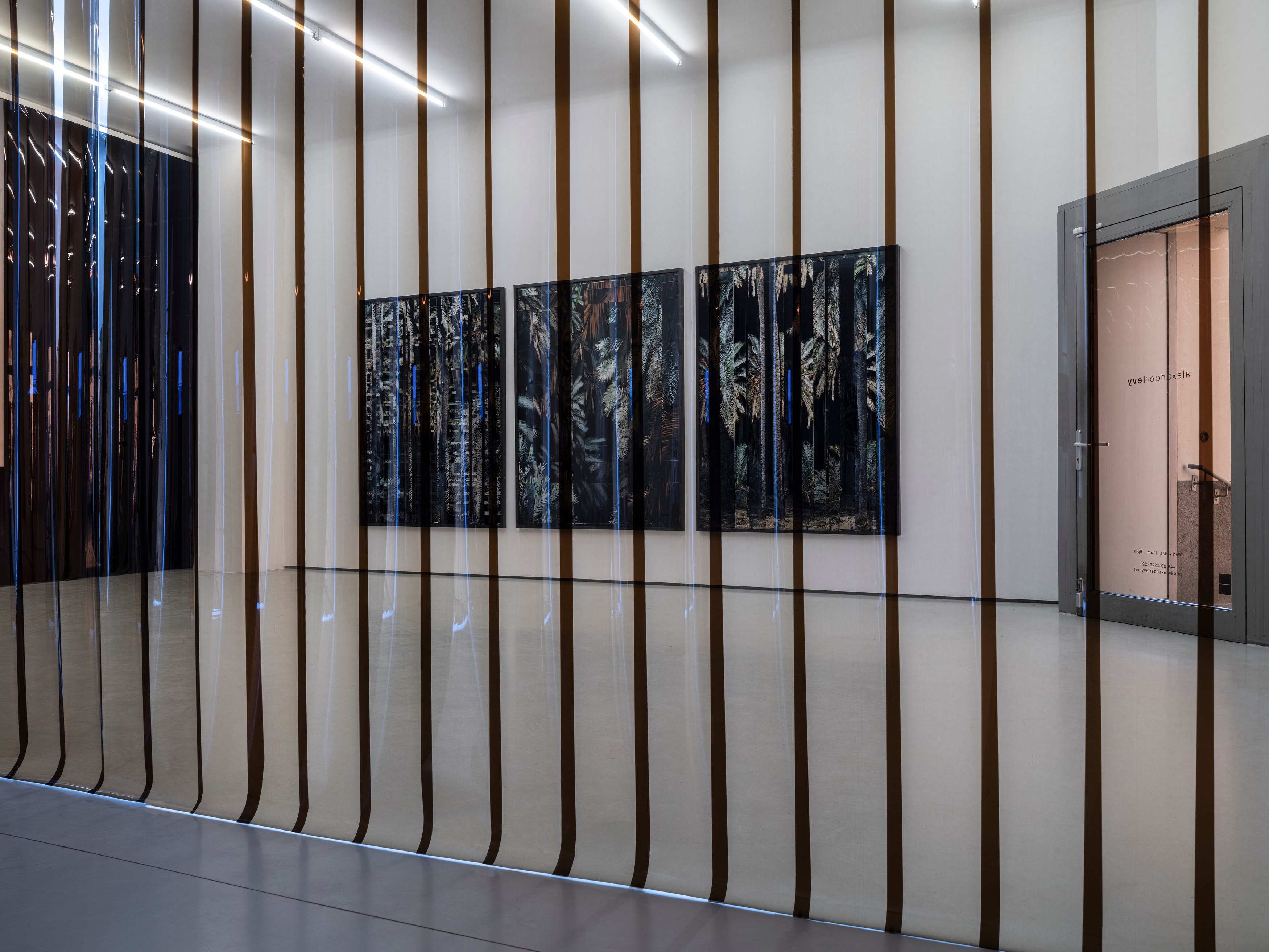 Noémie Goudal, Inhale Exhale at alexander levy, Berlin and LEVY Galerie, Berlin, photo 9