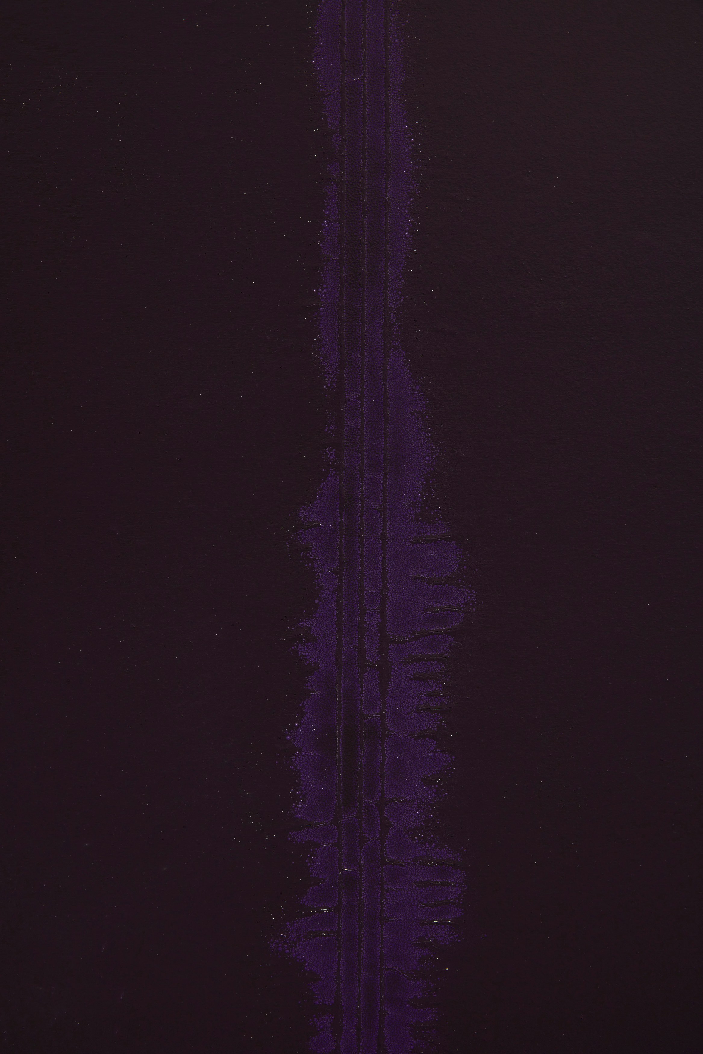 Installation view 11