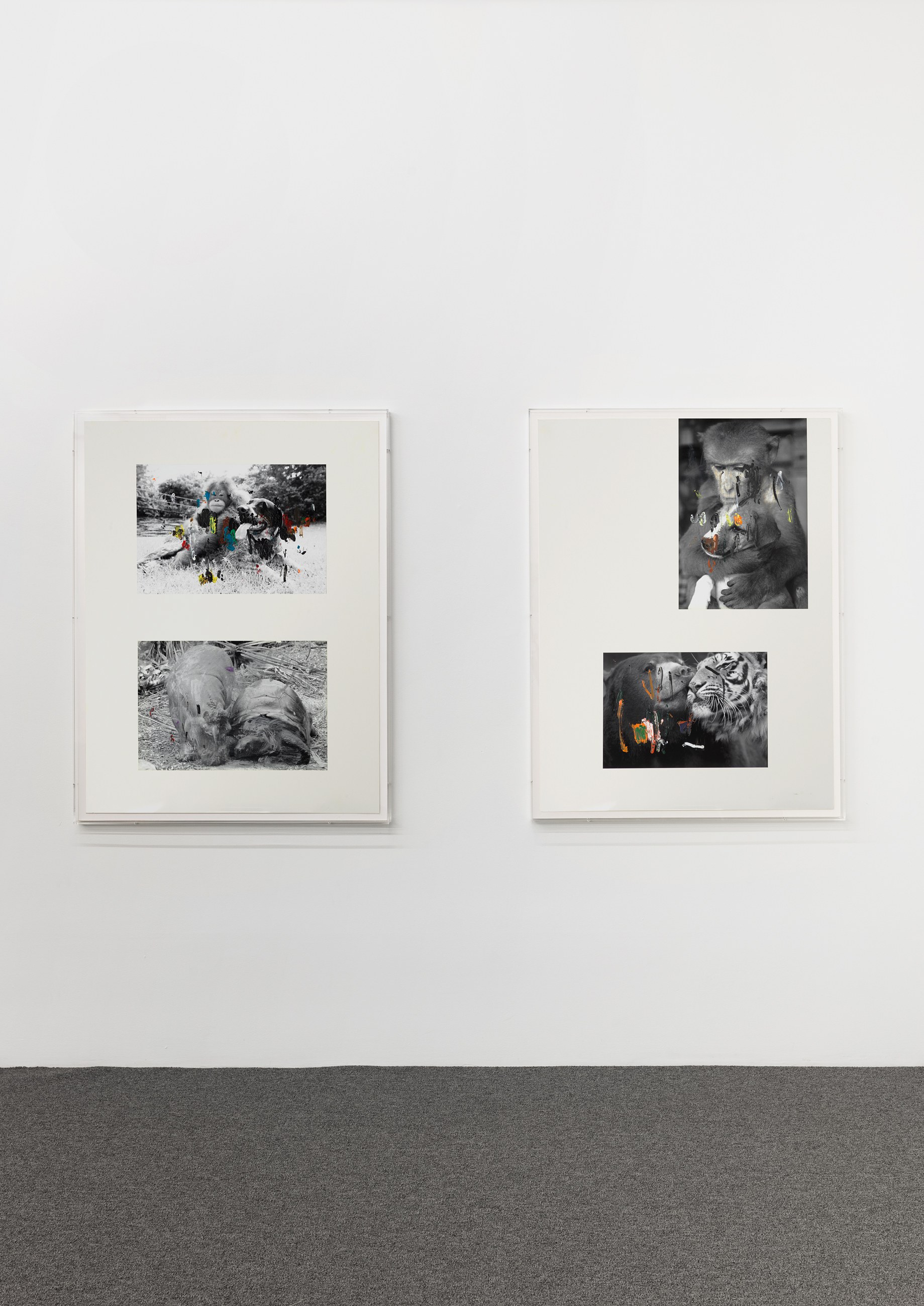Untitled, Untitled at Galerie Buchholz, Berlin, photo 20