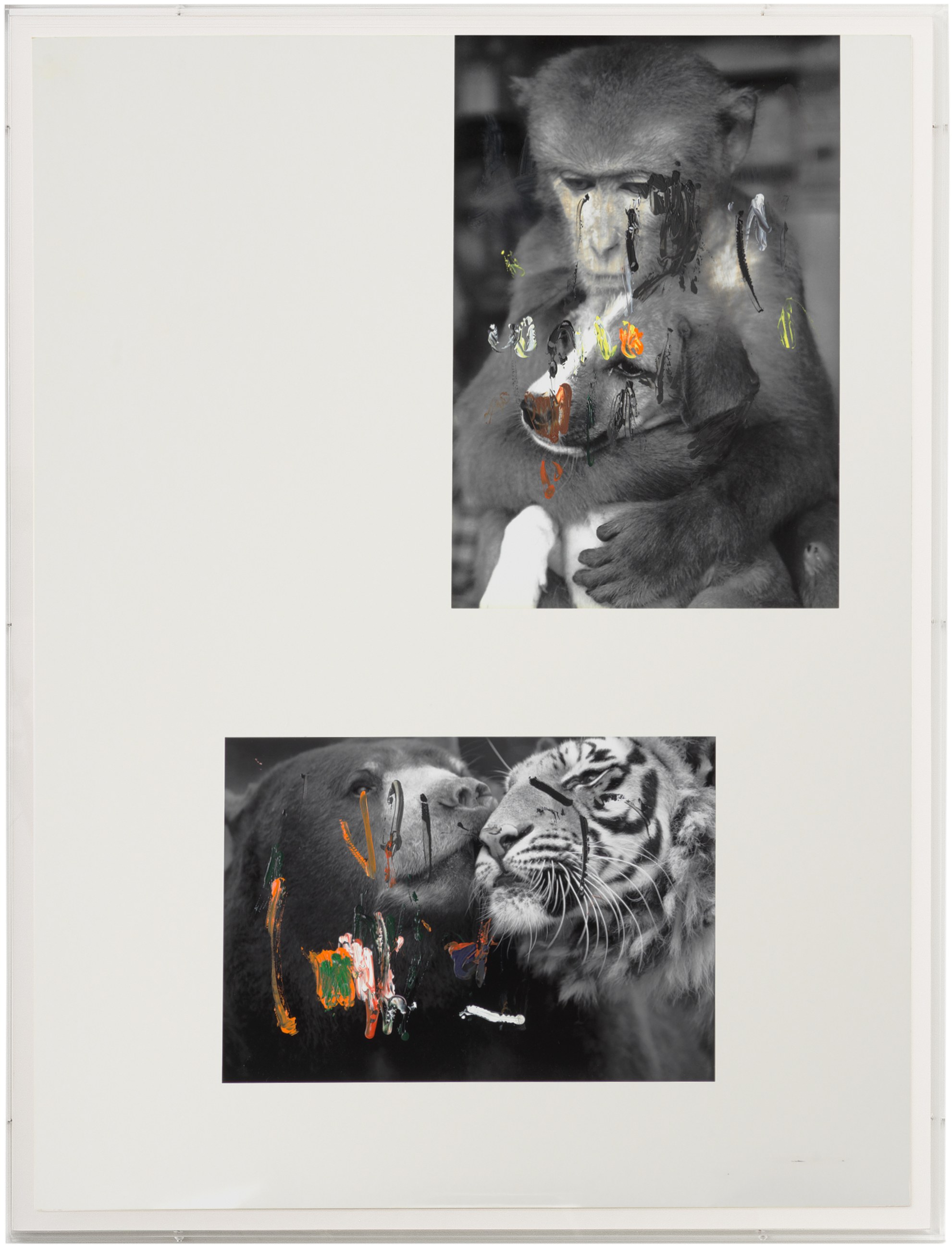 Untitled, Untitled at Galerie Buchholz, Berlin, photo 21