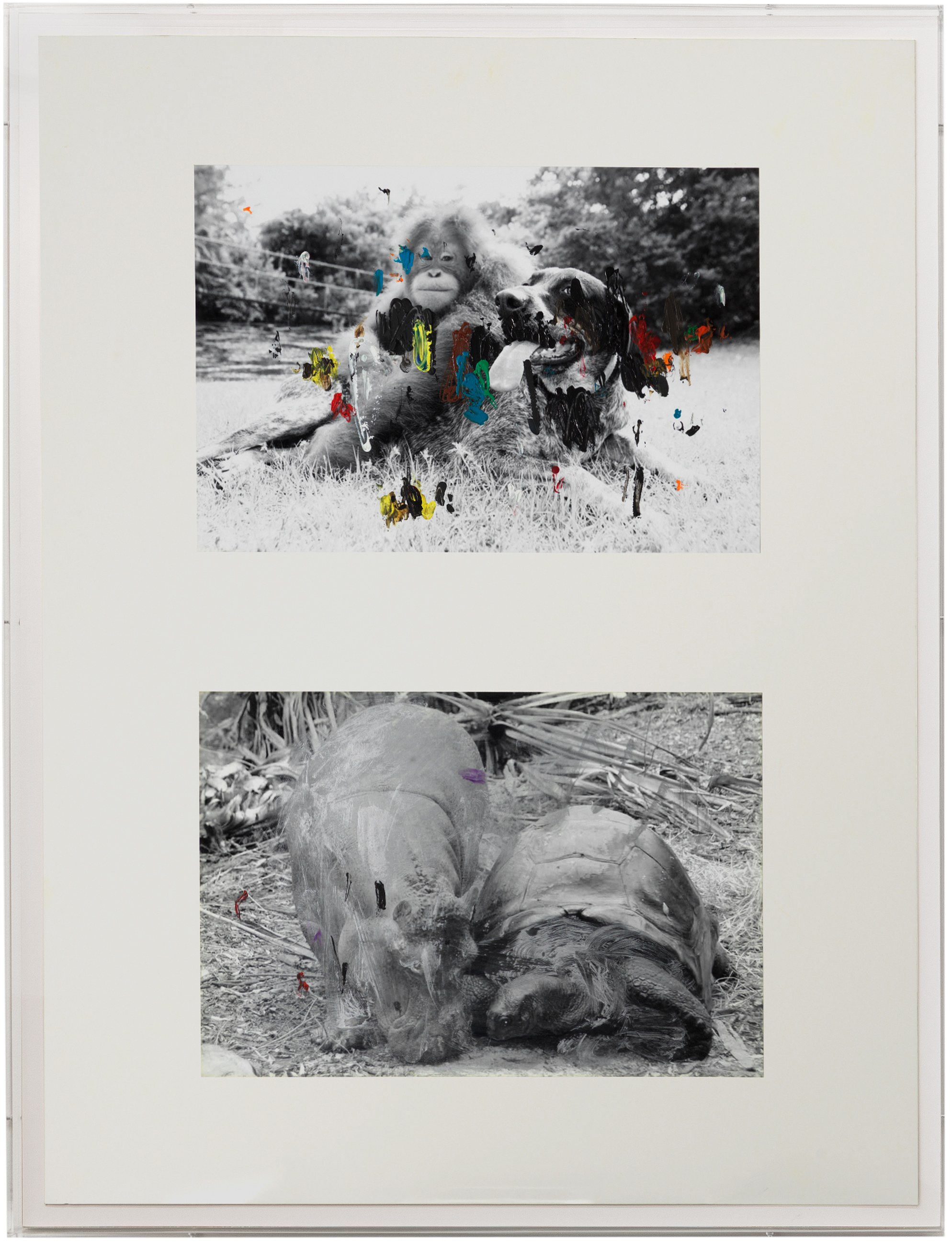 Untitled, Untitled at Galerie Buchholz, Berlin, photo 22