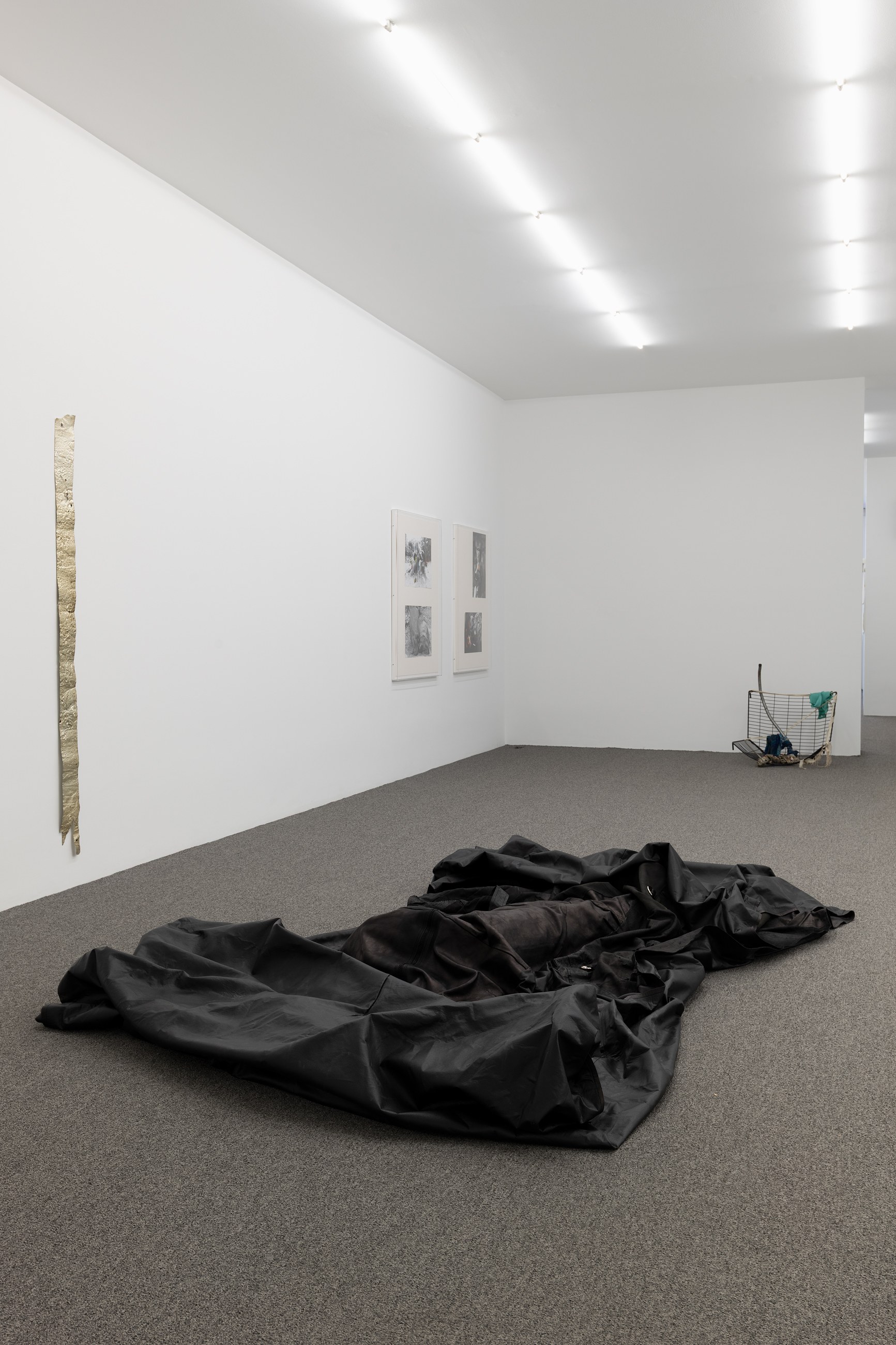 Untitled, Untitled at Galerie Buchholz, Berlin, photo 23