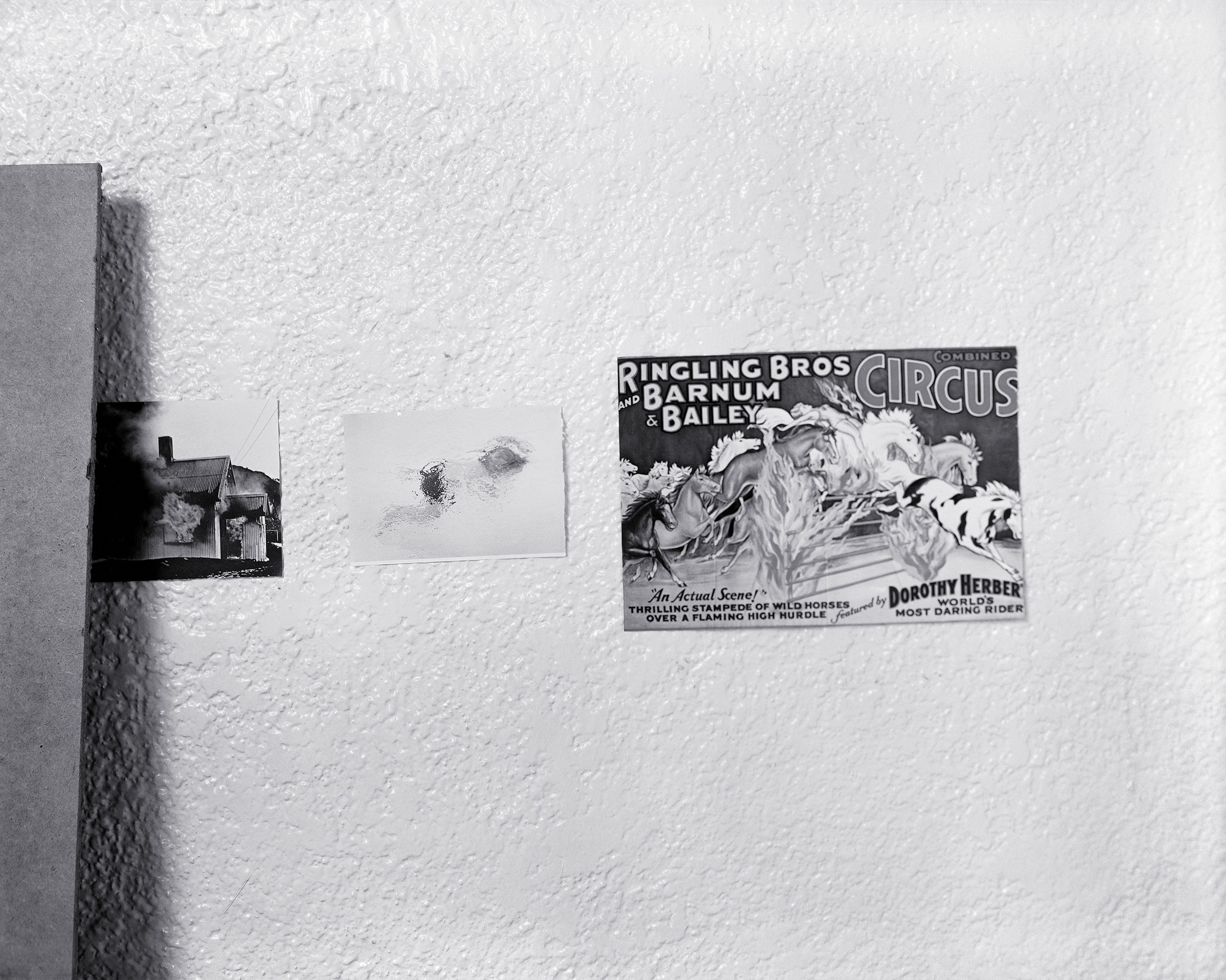 Jack Goldstein, Untitled at Galerie Buchholz, Berlin, photo 15