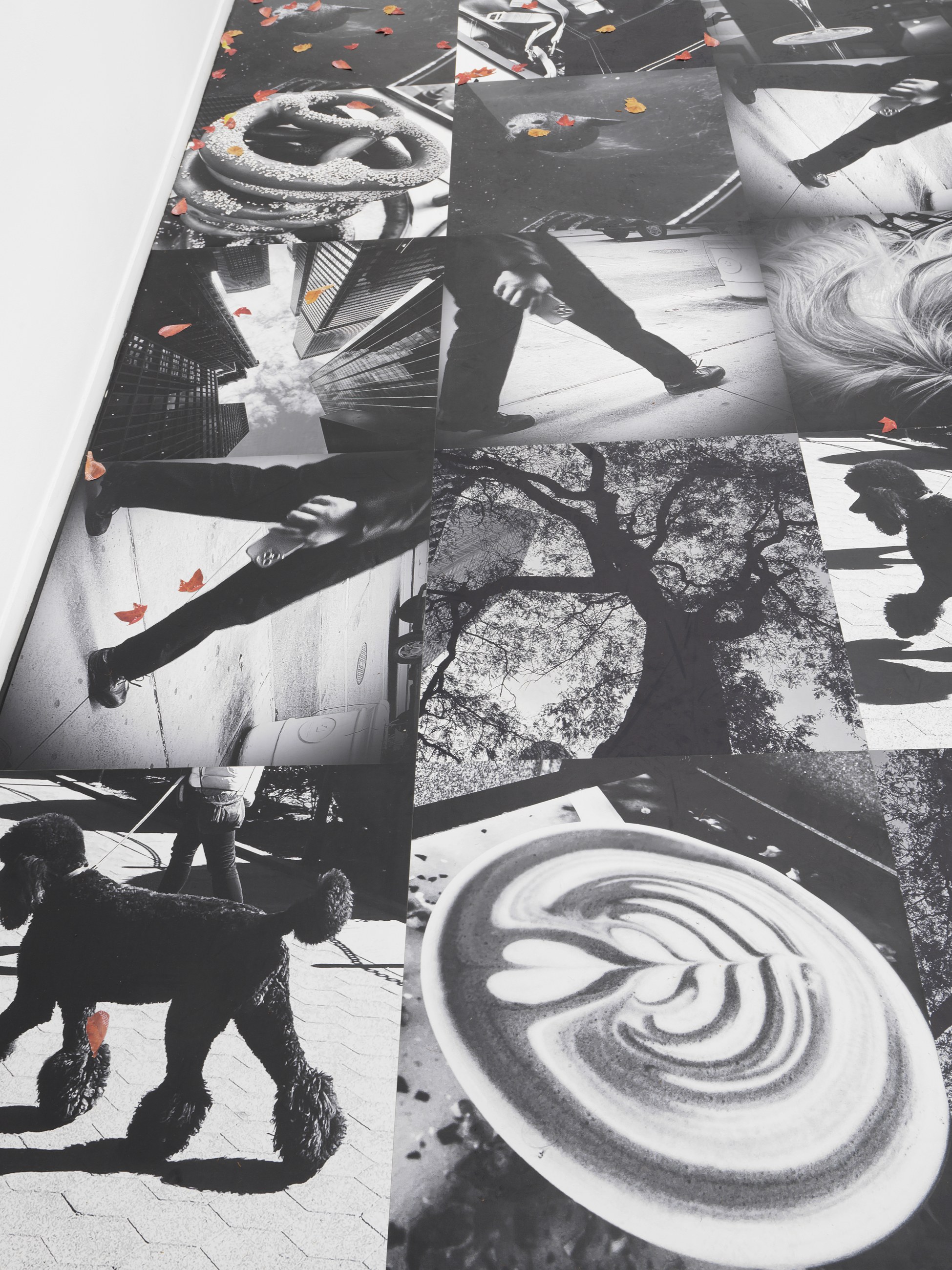 Peter Fischli, Gili Tal, Autumn on Everything at Galerie Buchholz, Berlin, photo 4