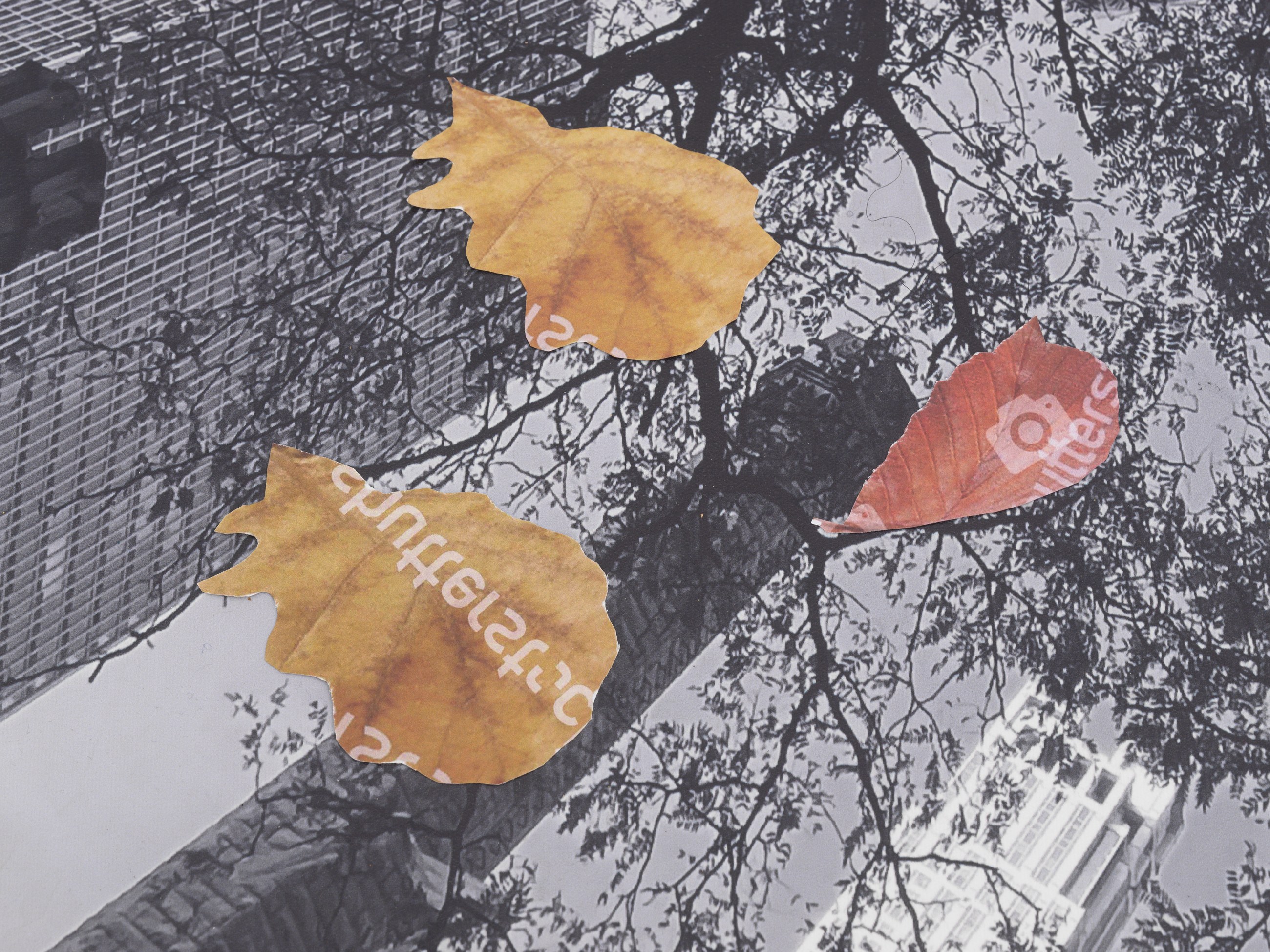 Peter Fischli, Gili Tal, Autumn on Everything at Galerie Buchholz, Berlin, photo 6