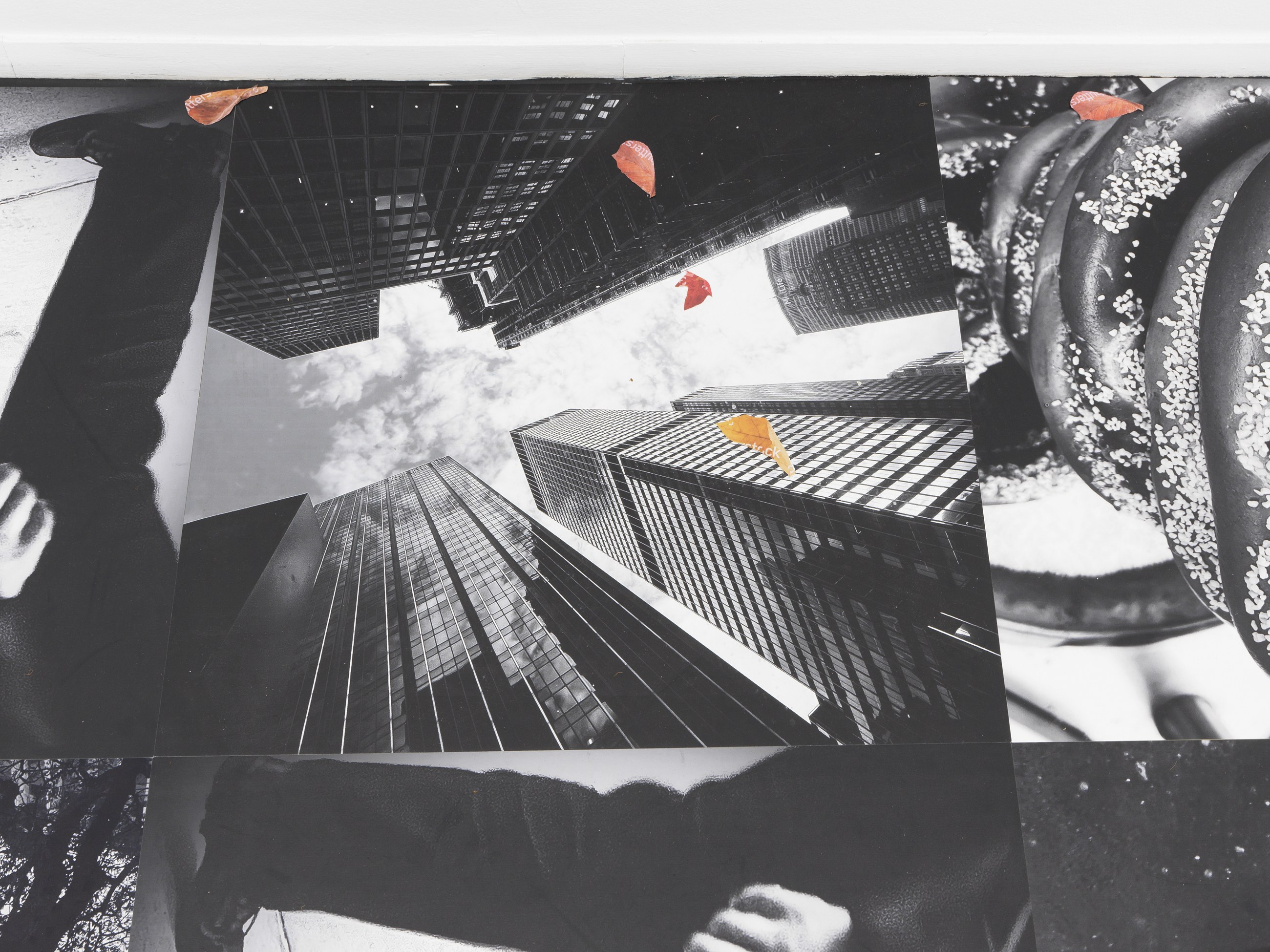 Peter Fischli, Gili Tal, Autumn on Everything at Galerie Buchholz, Berlin, photo 5