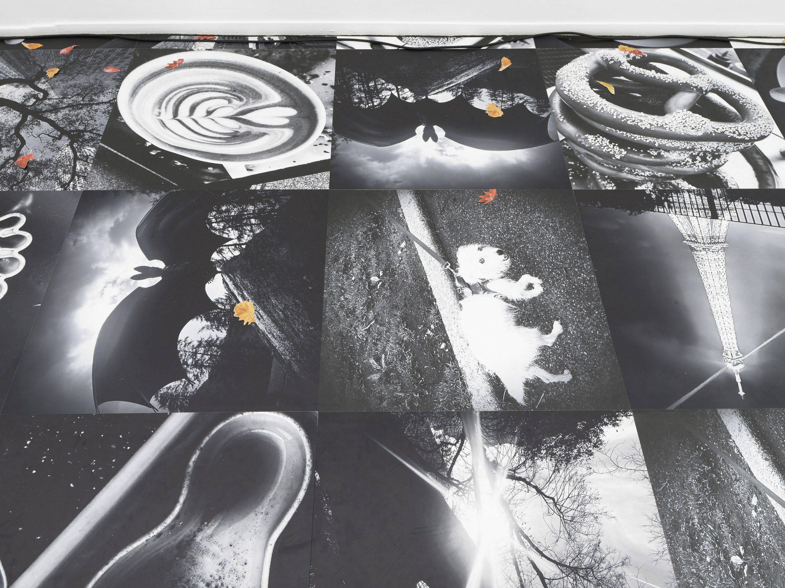 Peter Fischli, Gili Tal, Autumn on Everything at Galerie Buchholz, Berlin, photo 12