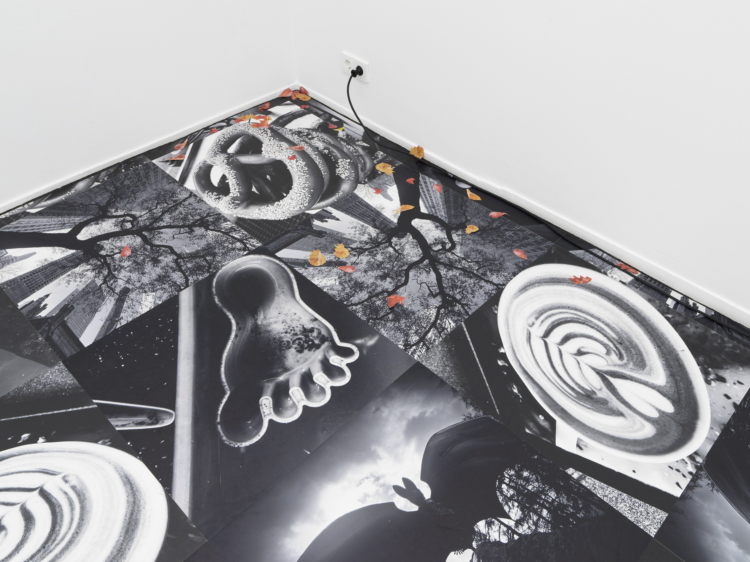Peter Fischli, Gili Tal, Autumn on Everything at Galerie Buchholz, Berlin, photo 13