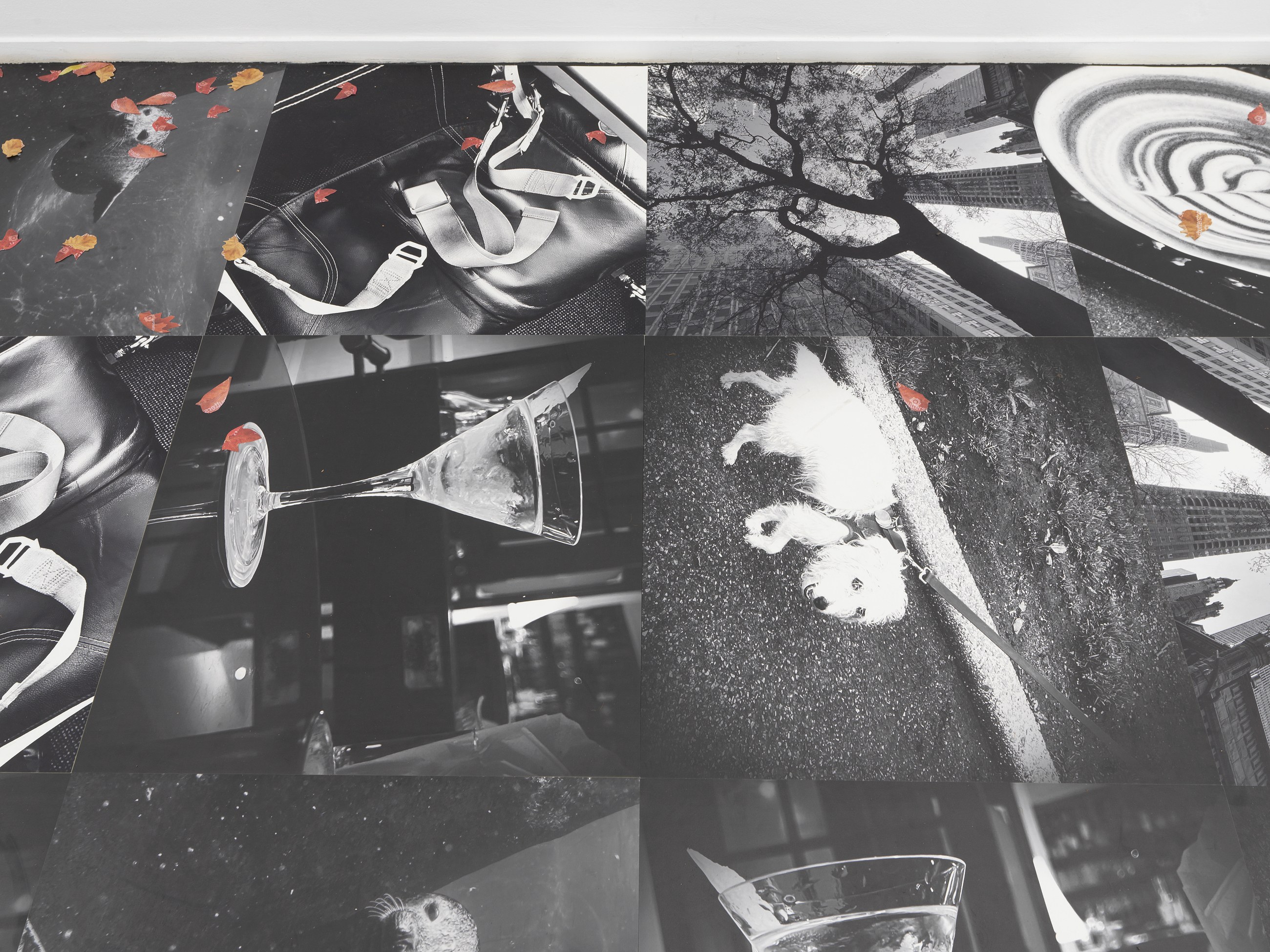 Peter Fischli, Gili Tal, Autumn on Everything at Galerie Buchholz, Berlin, photo 14
