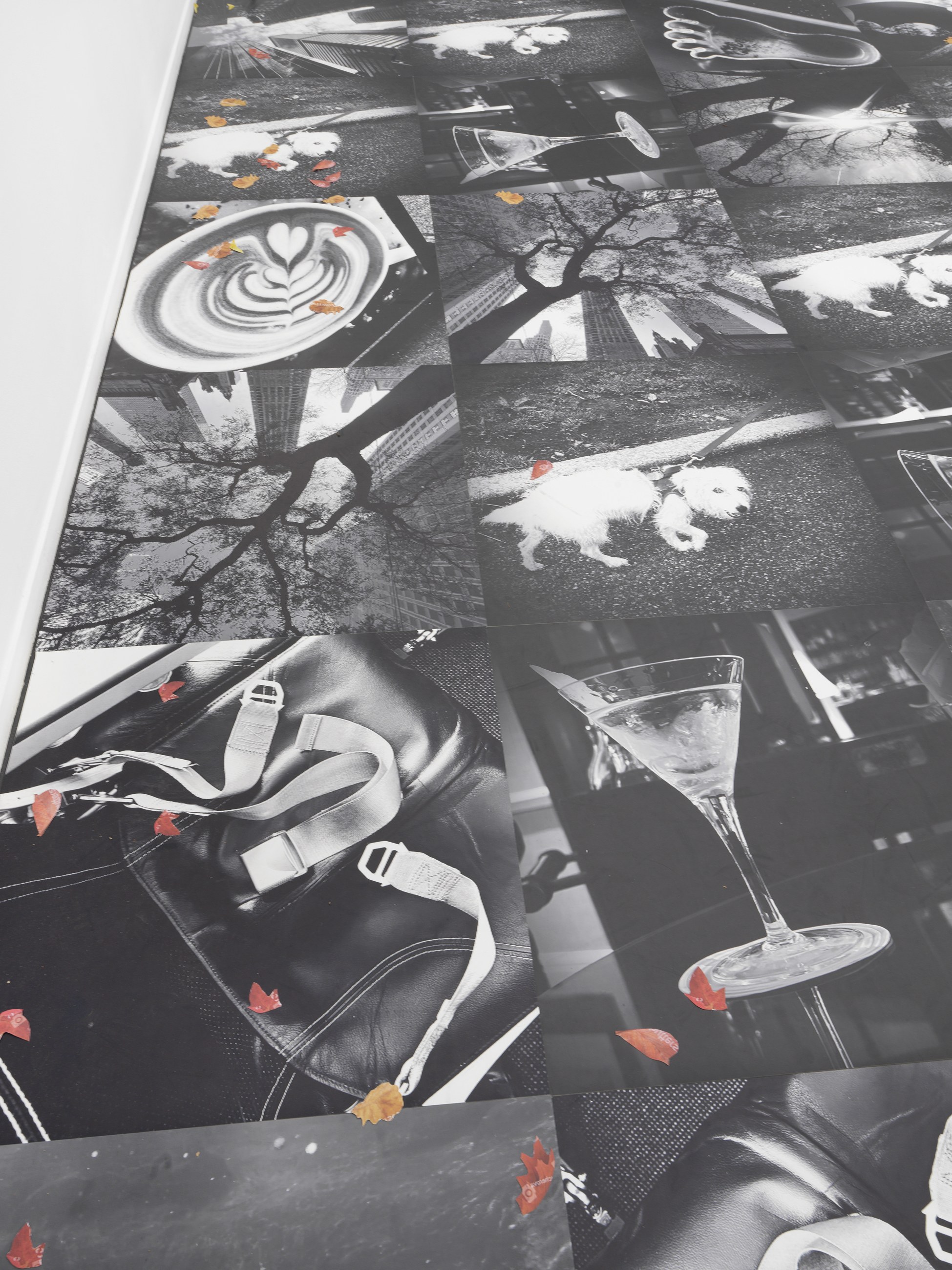 Peter Fischli, Gili Tal, Autumn on Everything at Galerie Buchholz, Berlin, photo 15