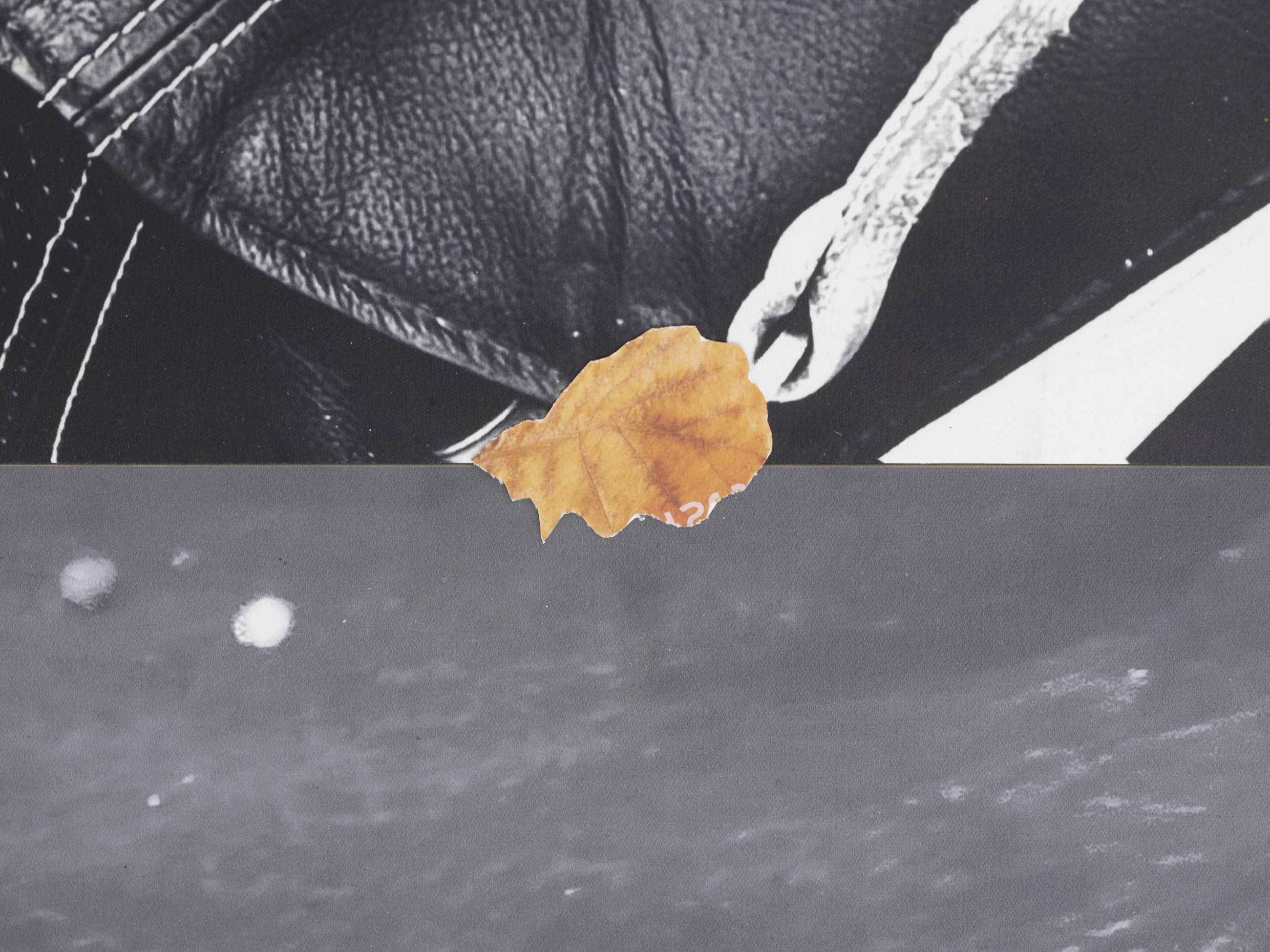 Peter Fischli, Gili Tal, Autumn on Everything at Galerie Buchholz, Berlin, photo 16
