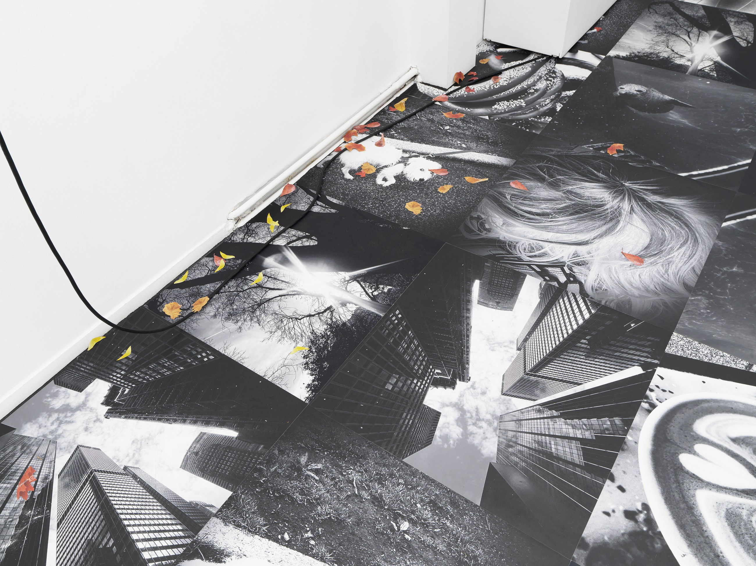 Peter Fischli, Gili Tal, Autumn on Everything at Galerie Buchholz, Berlin, photo 18