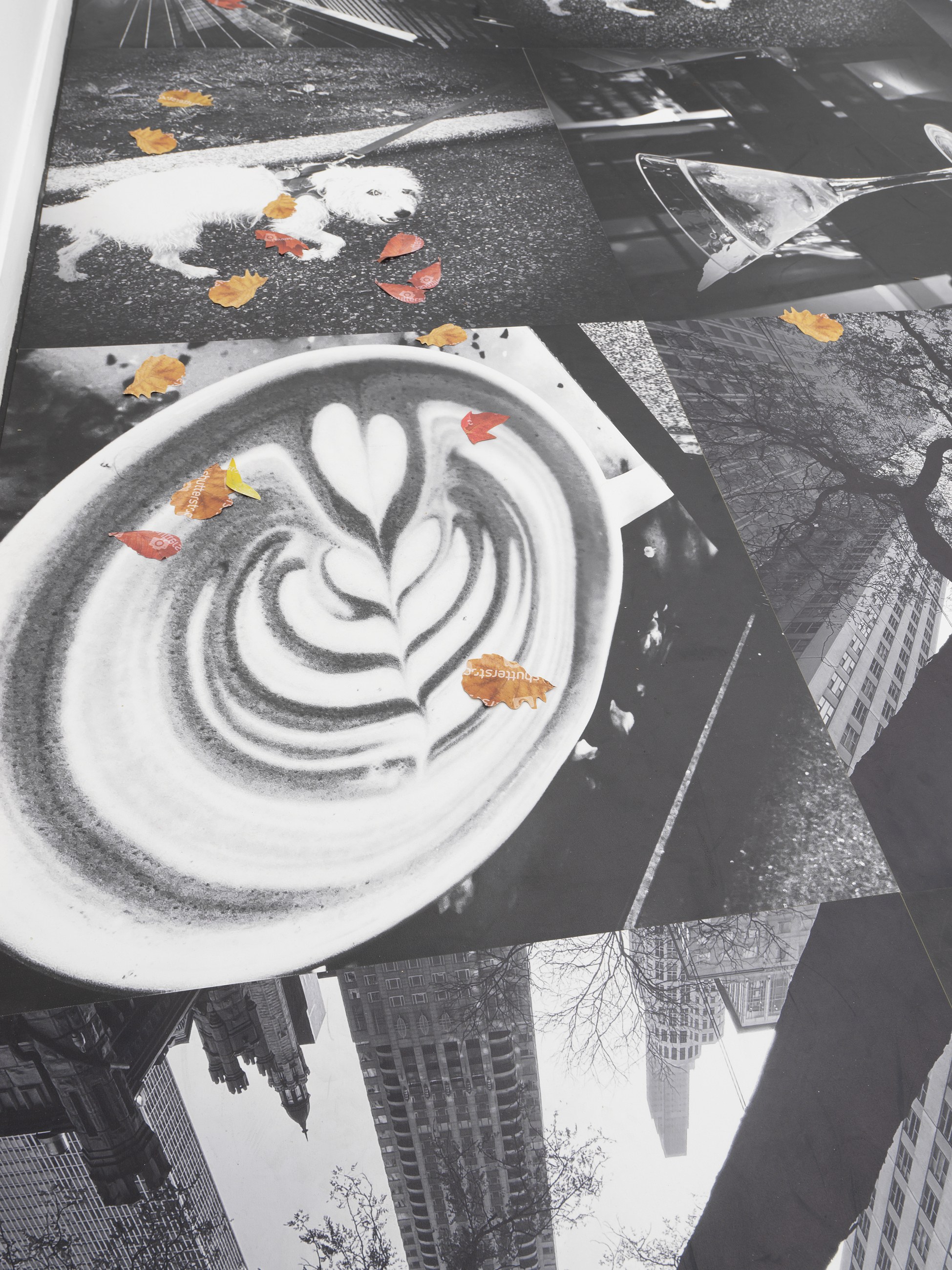 Peter Fischli, Gili Tal, Autumn on Everything at Galerie Buchholz, Berlin, photo 24