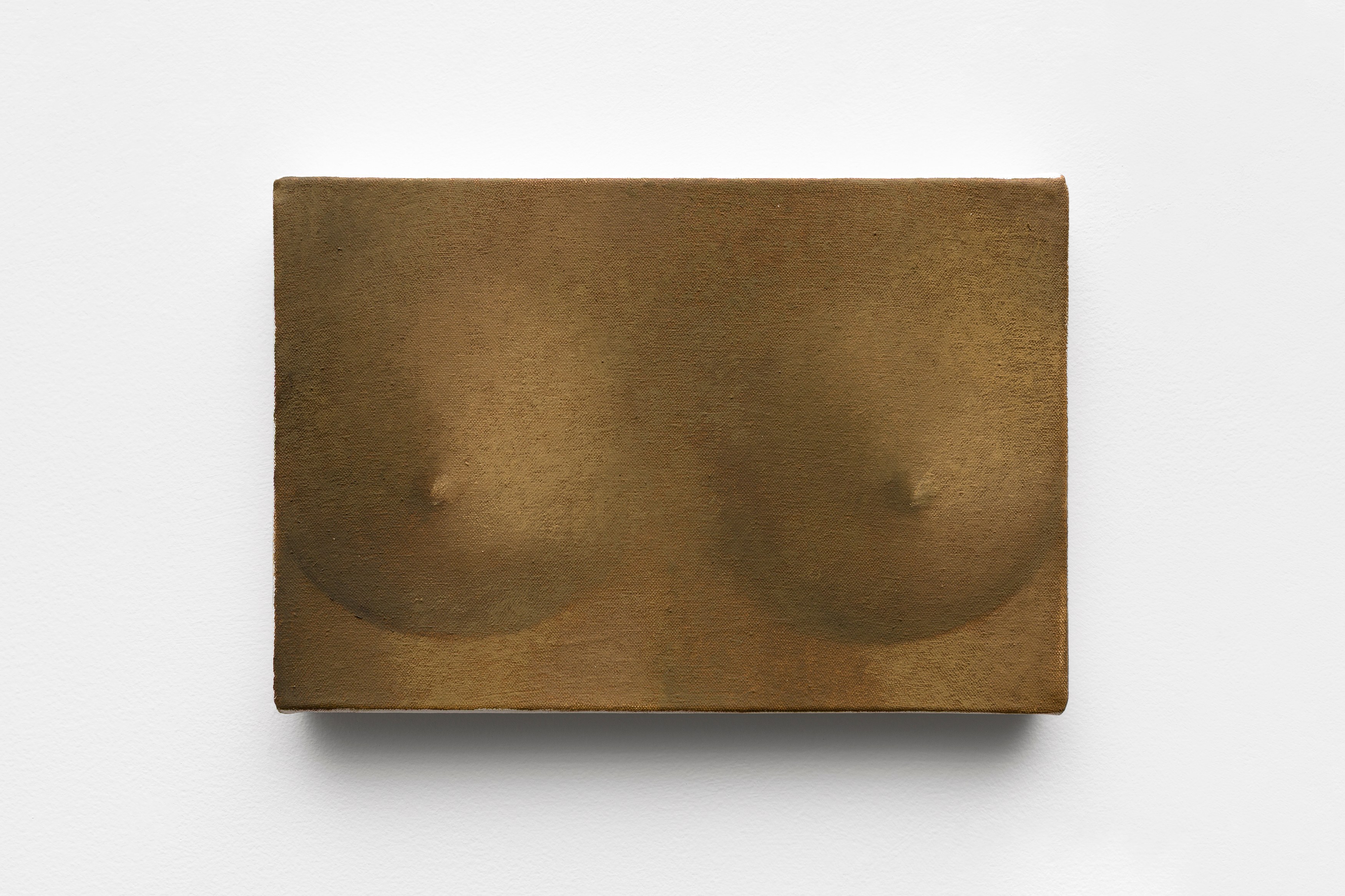Paula Siebra, O Estranho Familiar at Mendes Wood DM, photo 23
