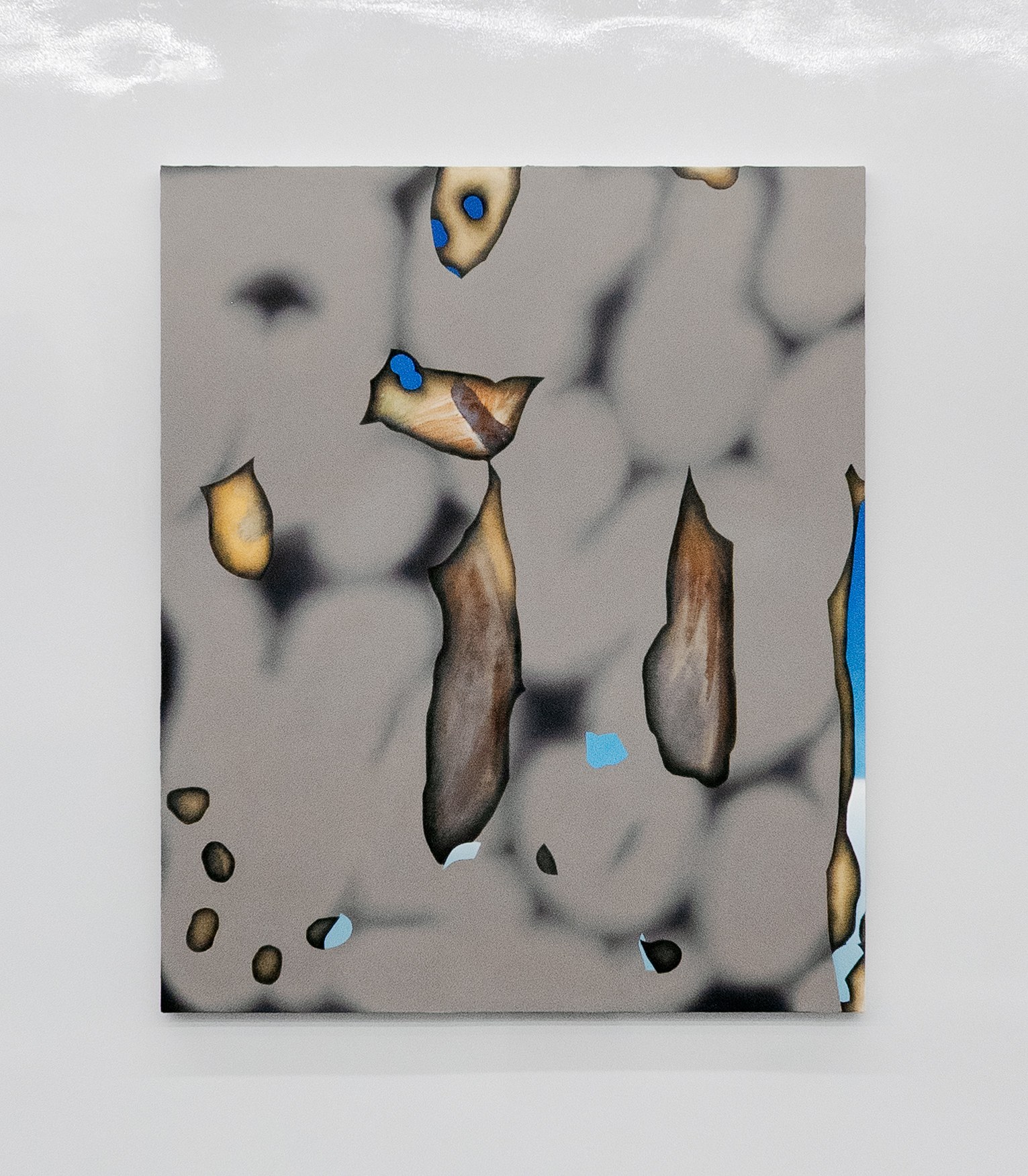 Michele Abramowitz, These Intermediate Reals at Kate Werble, photo 5