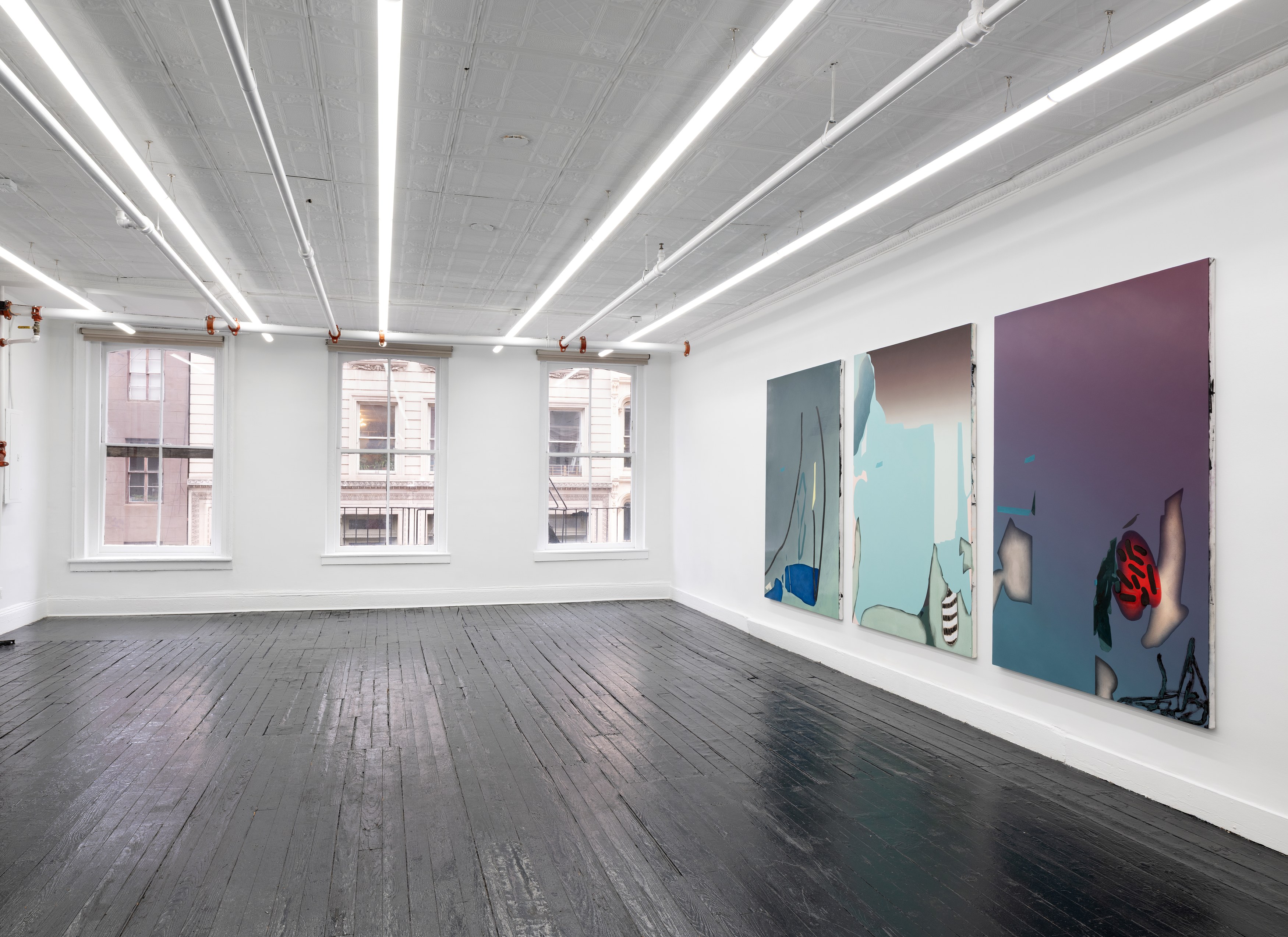 Michele Abramowitz, These Intermediate Reals at Kate Werble, photo 10