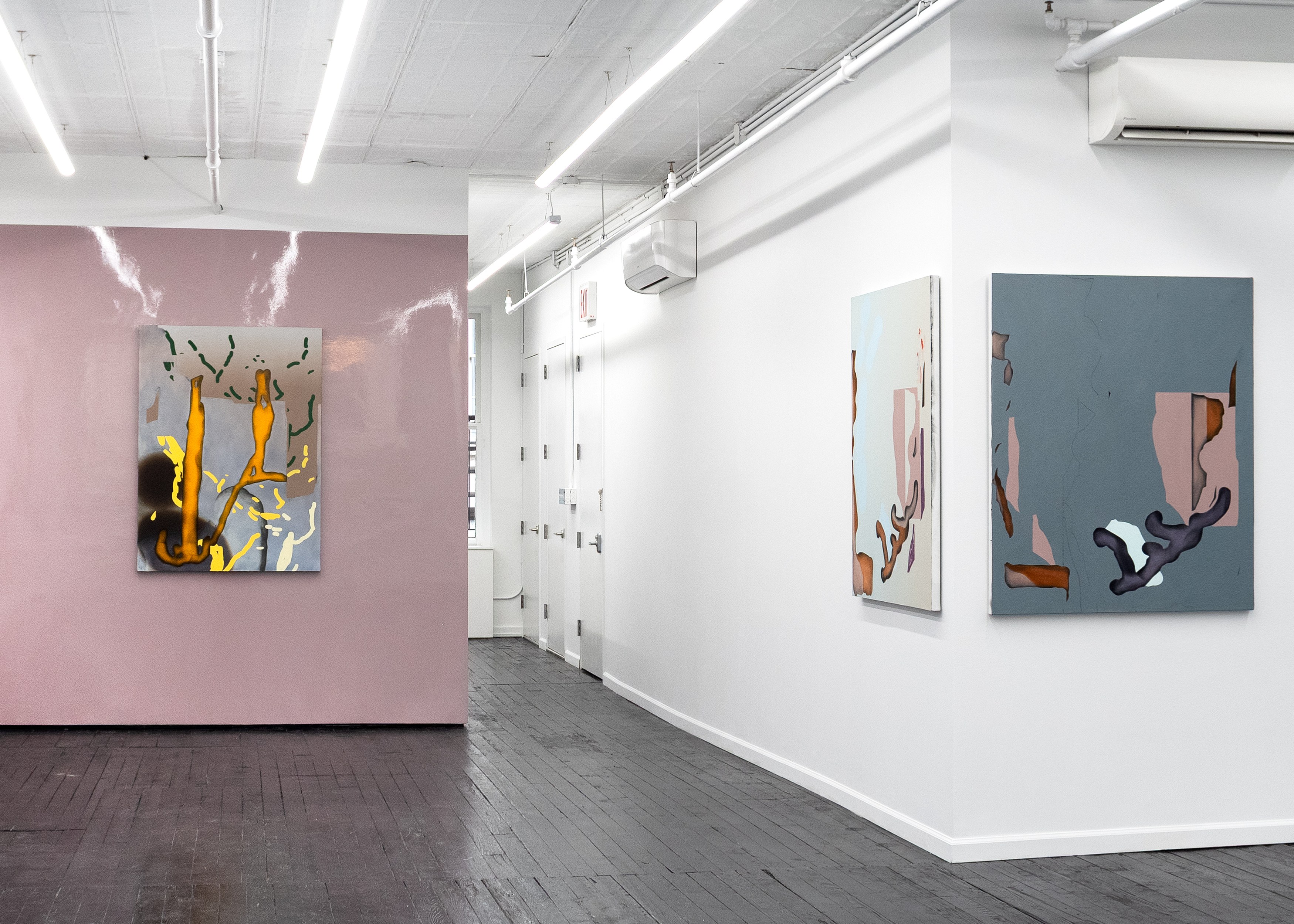 Michele Abramowitz, These Intermediate Reals at Kate Werble, photo 17