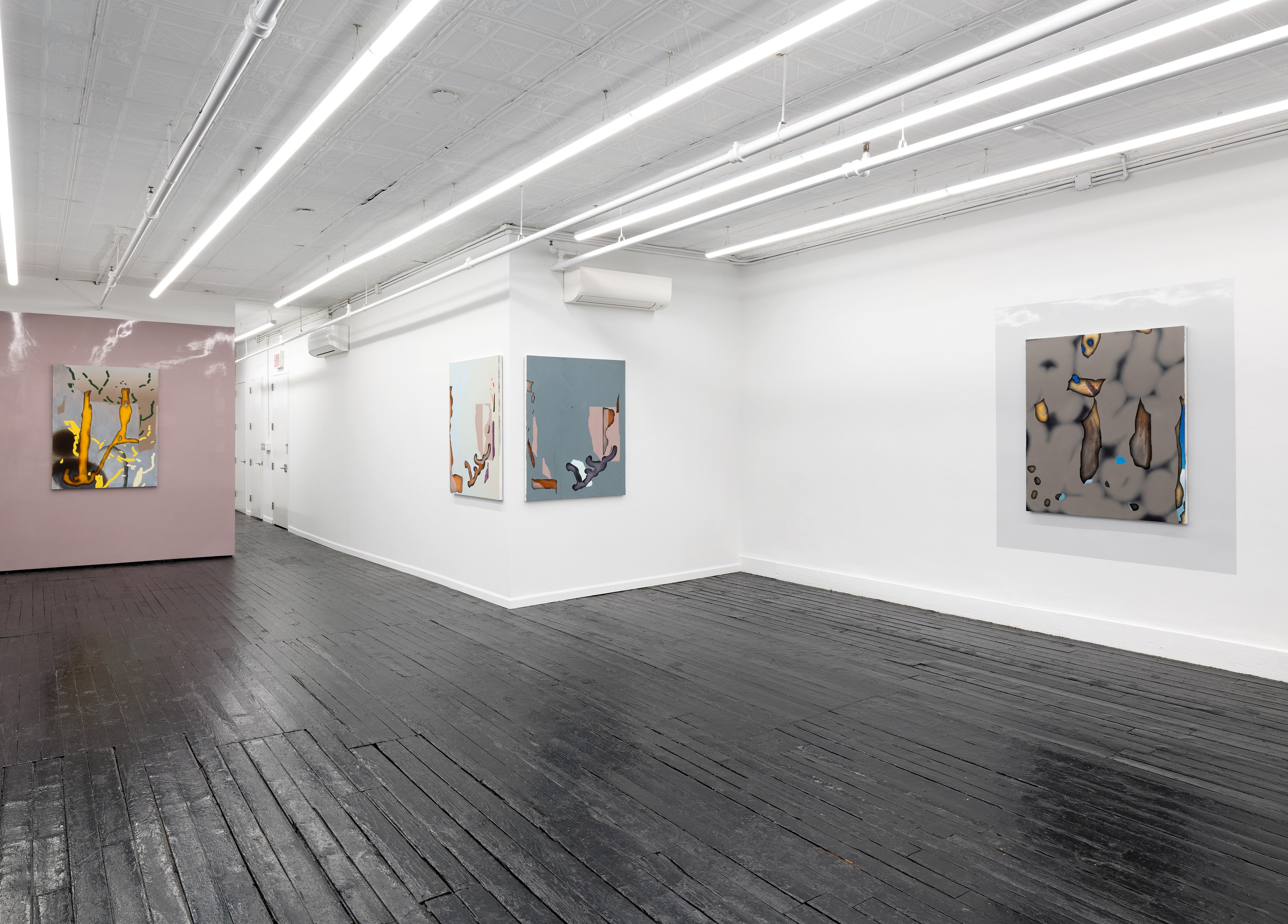 Michele Abramowitz, These Intermediate Reals at Kate Werble, photo 14