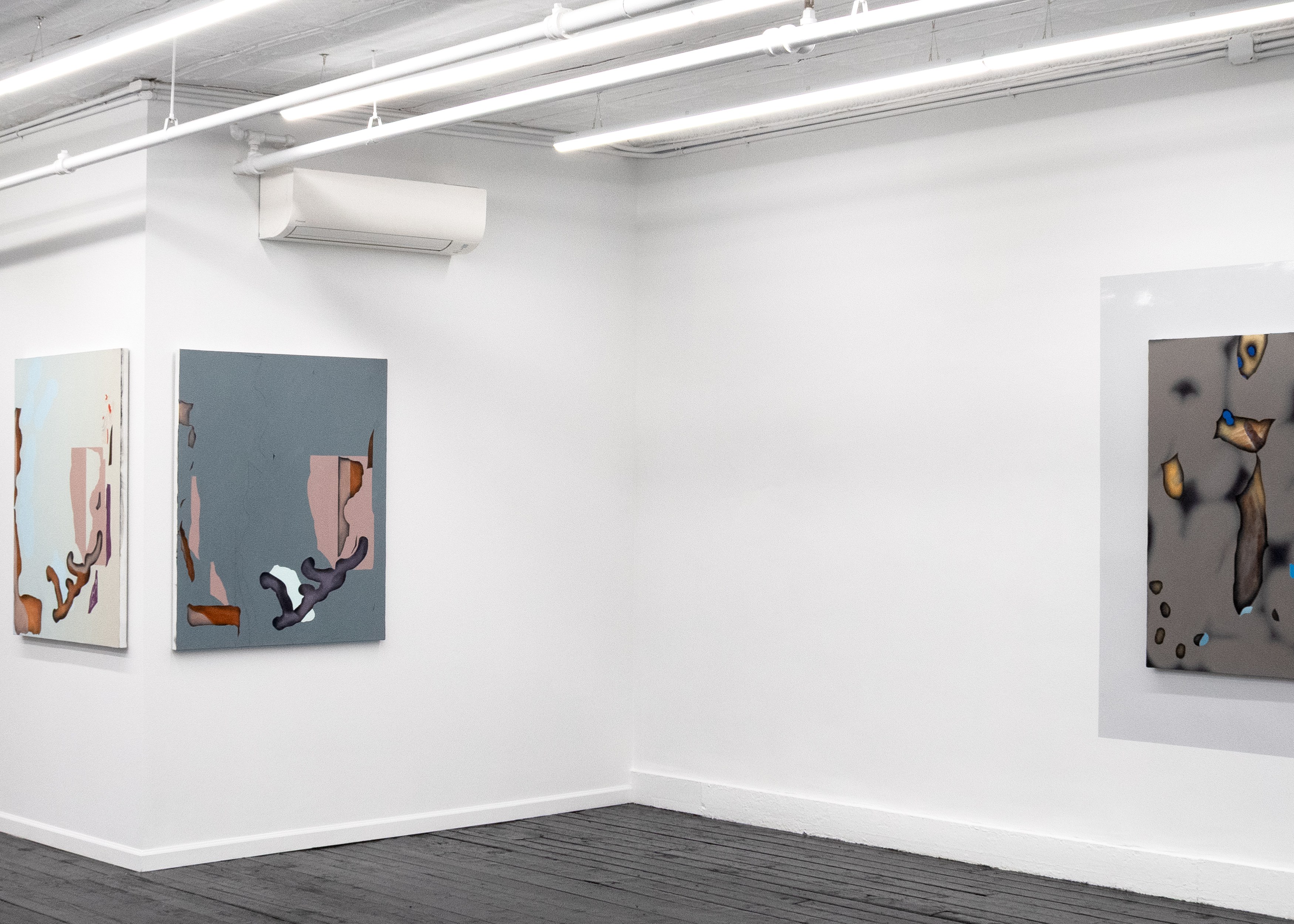 Michele Abramowitz, These Intermediate Reals at Kate Werble, photo 20