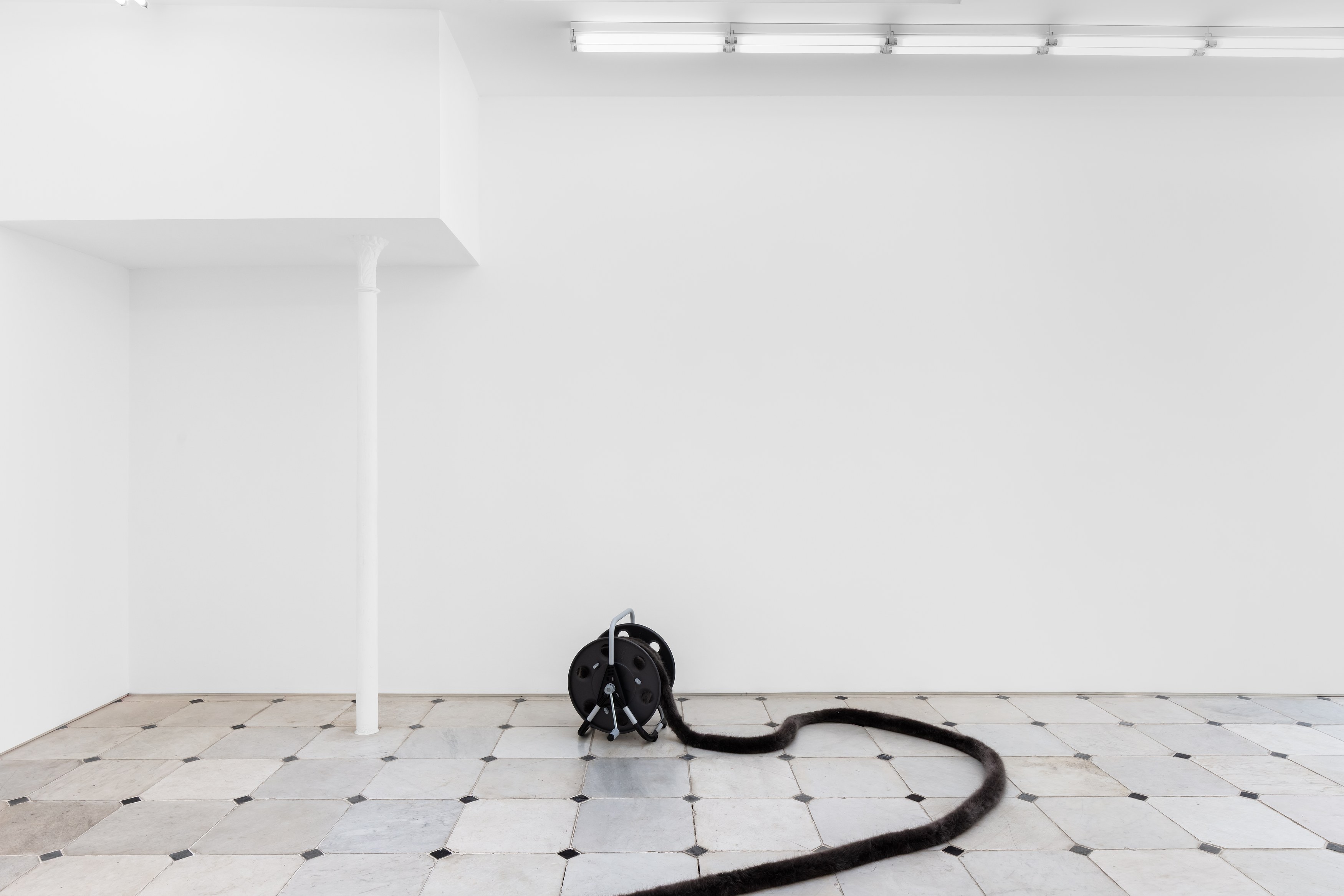 Nicole Wermers, Tails & Fainters at Museum St, photo 3