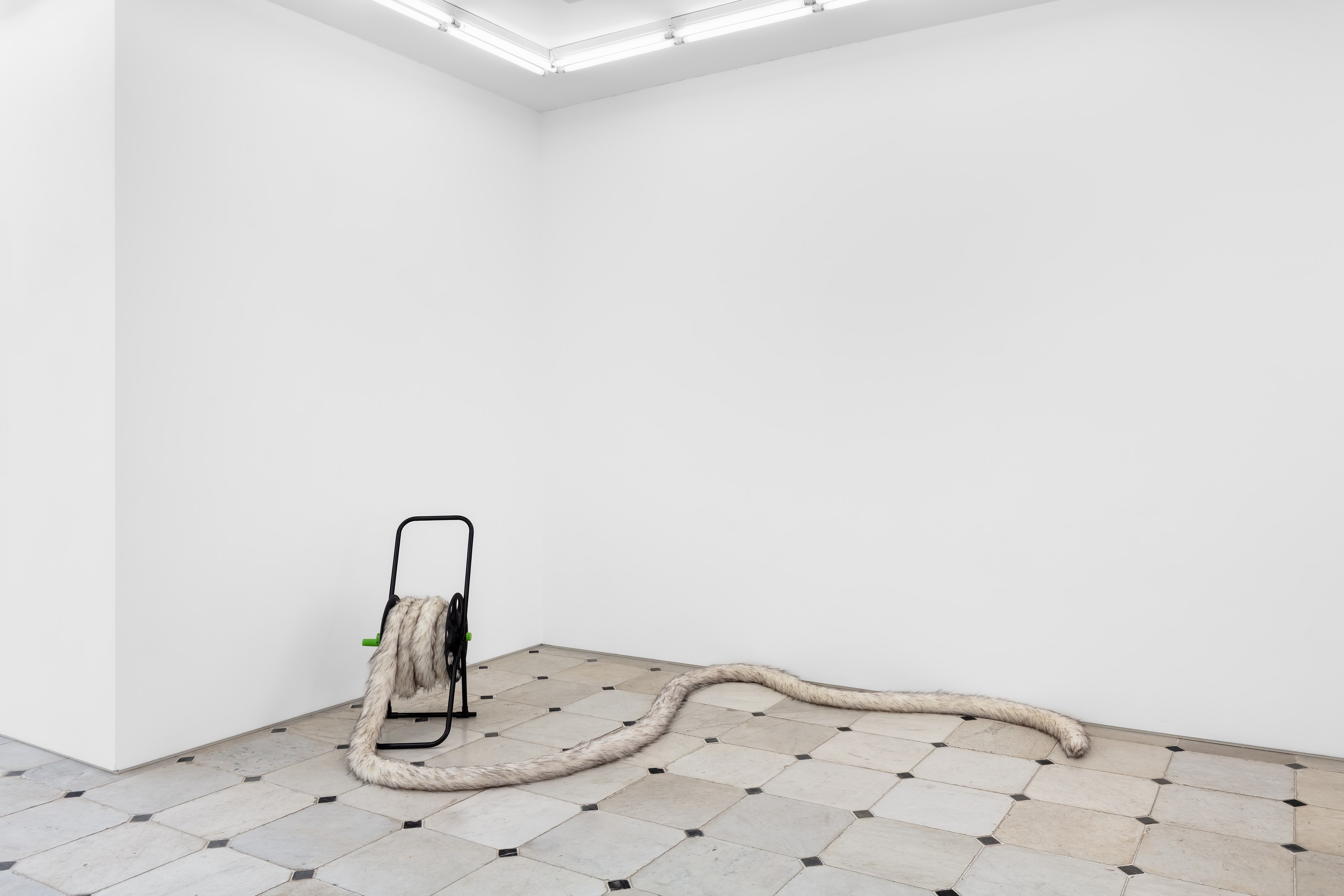 Nicole Wermers, Tails & Fainters at Museum St, photo 2