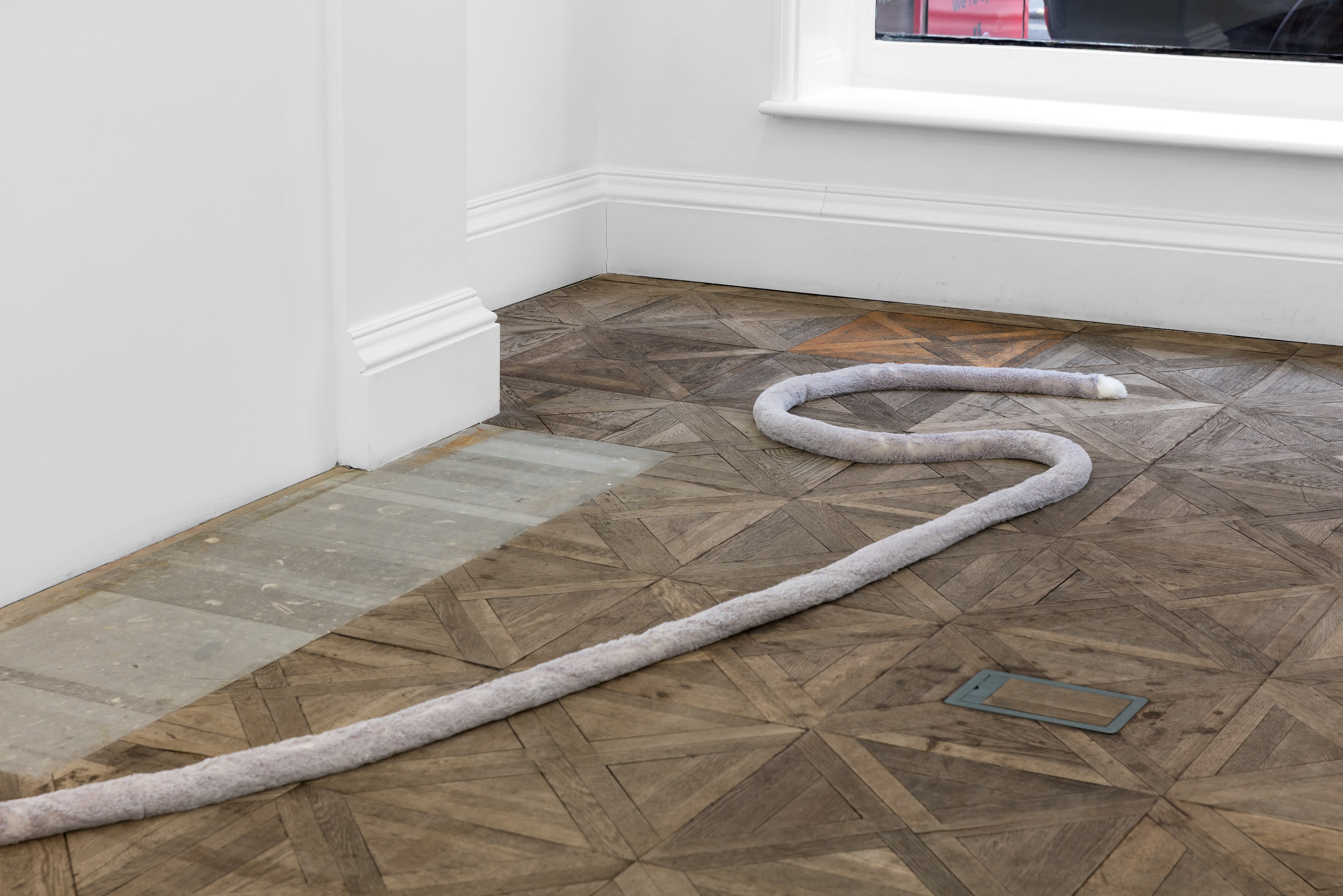 Nicole Wermers, Tails & Fainters at Museum St, photo 7