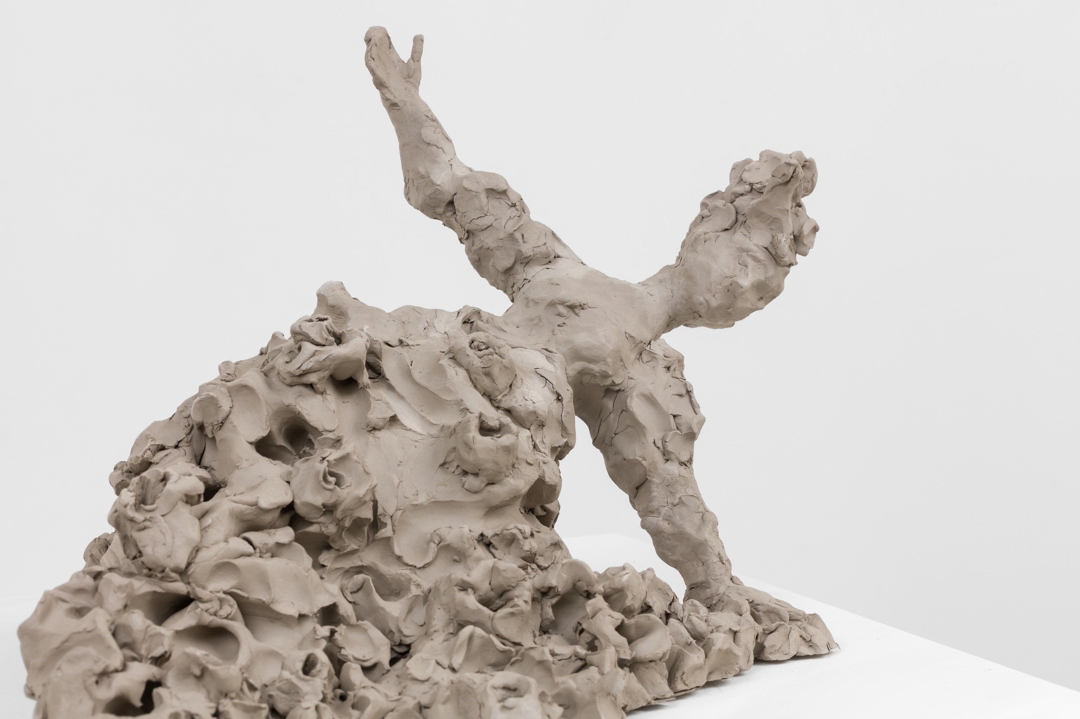 Nicole Wermers, Tails & Fainters at Museum St, photo 16
