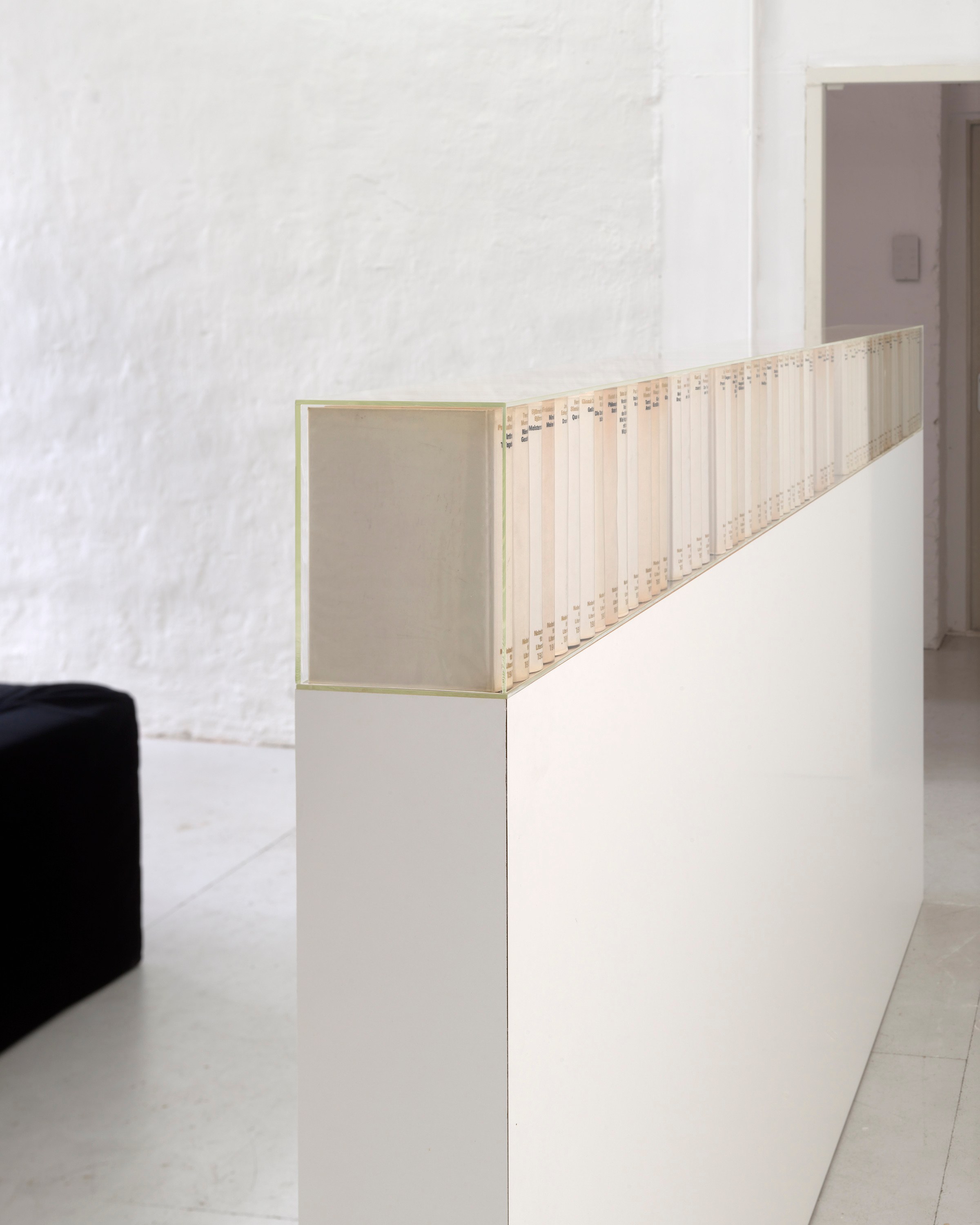 Sanna Helena Berger, Absolut at Shahin Zarinbal, photo 12