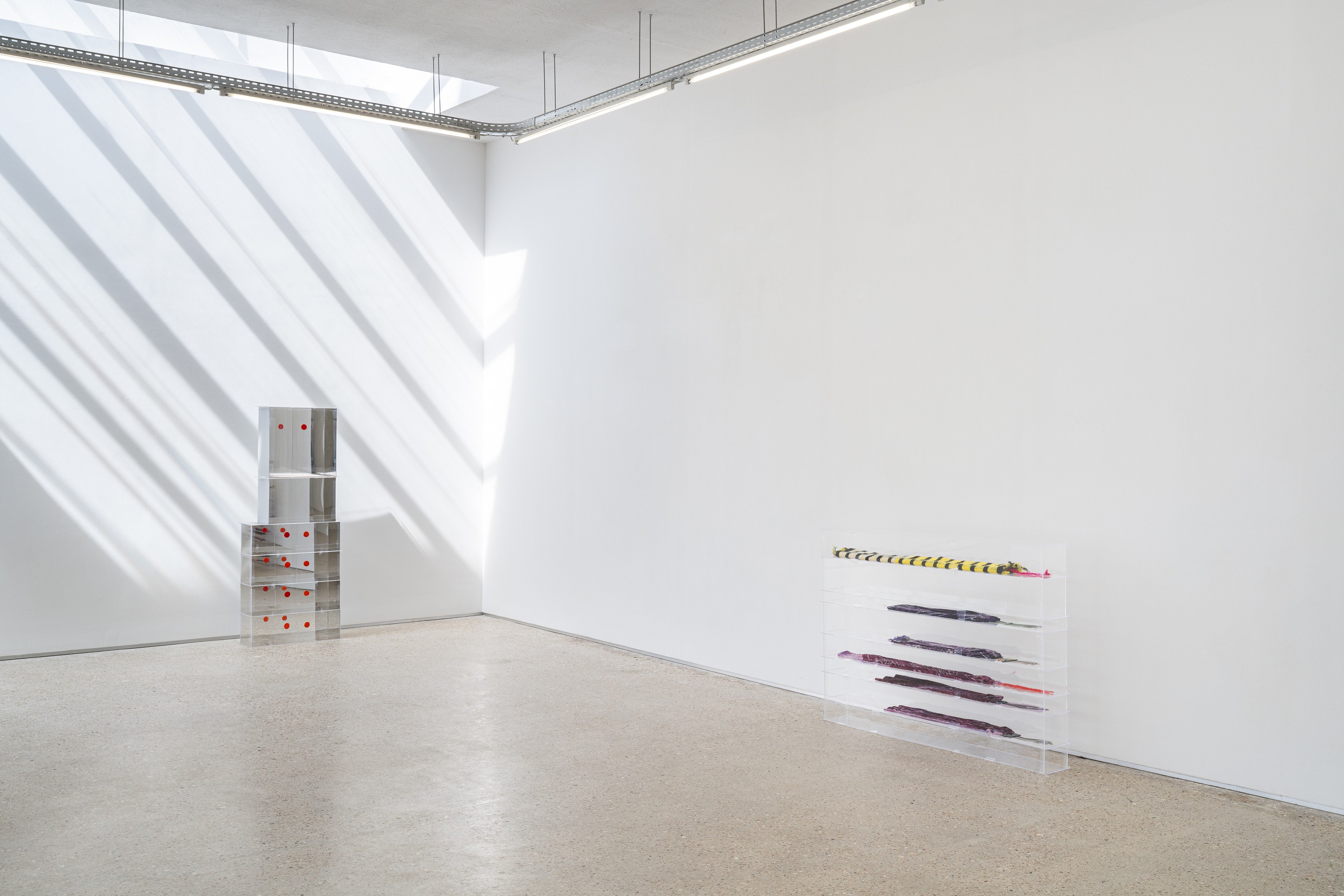 Anne Bourse, Dissociation at Tragic Venus, CELESTE | data center Marilyn, Champs-sur-Marne, photo 18