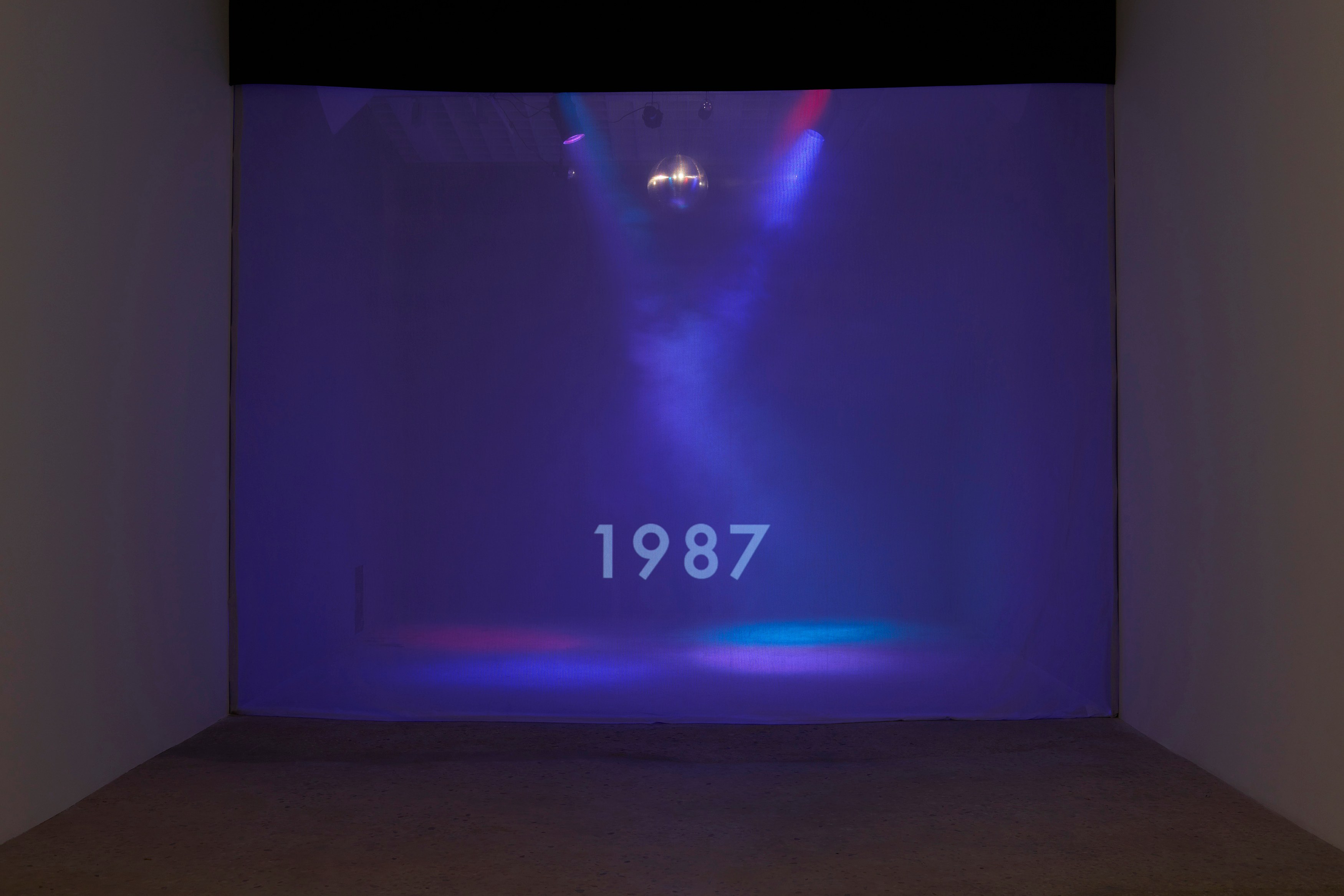 Michael Smith, Excuse me!?!…I'm looking for the "Fountain of Youth" at Greene Naftali, photo 8