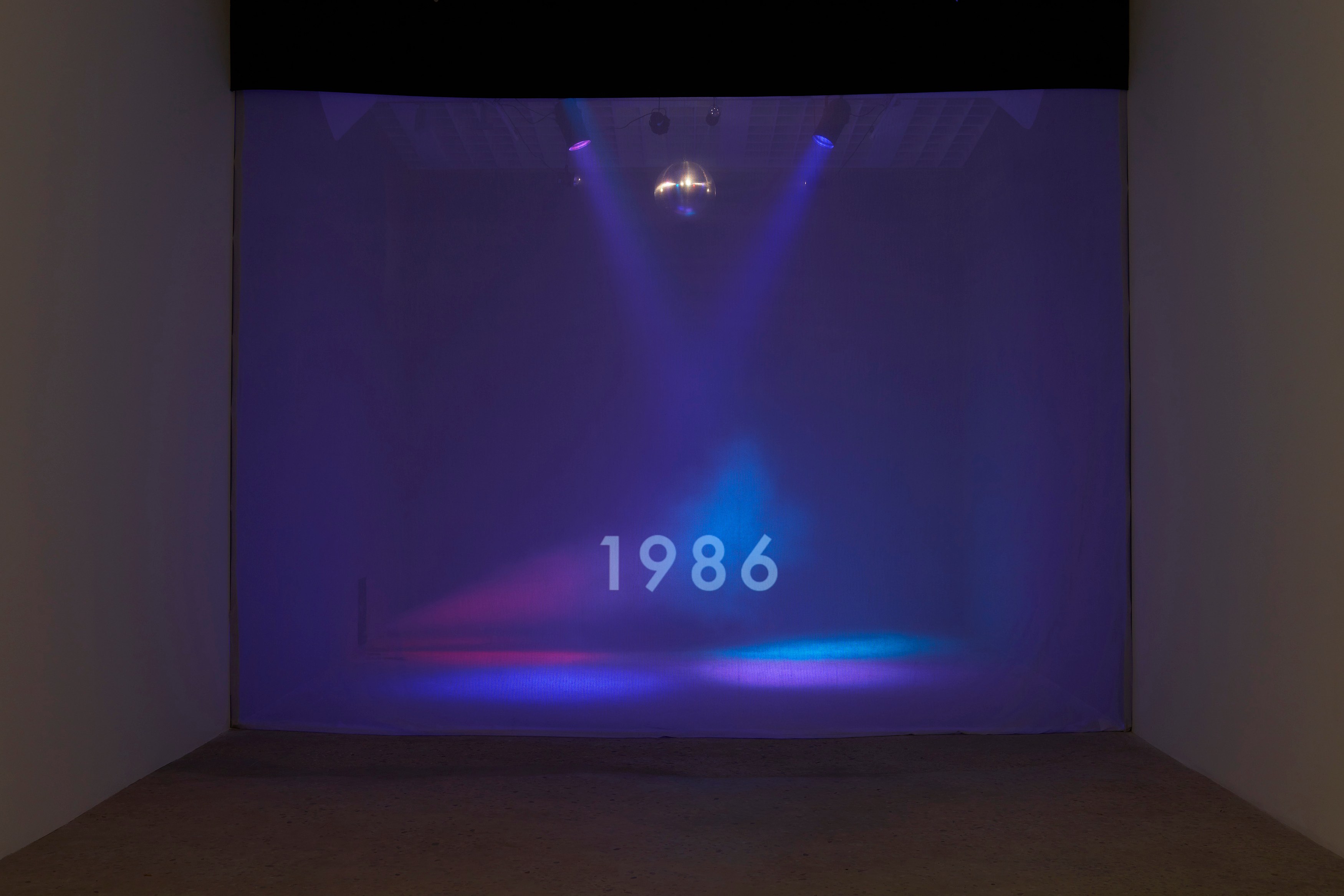 Michael Smith, Excuse me!?!…I'm looking for the "Fountain of Youth" at Greene Naftali, photo 9