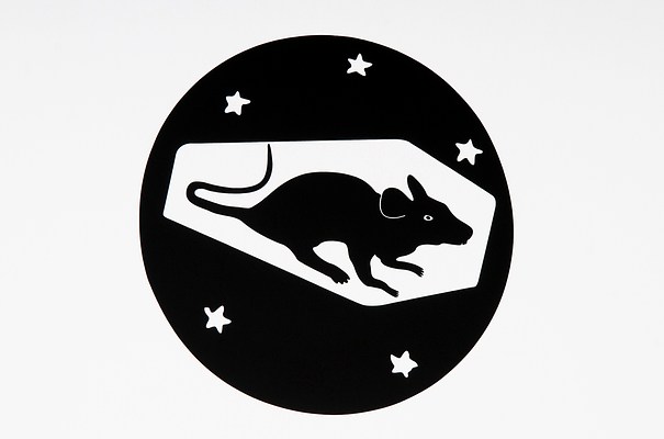 Image 15 of 20