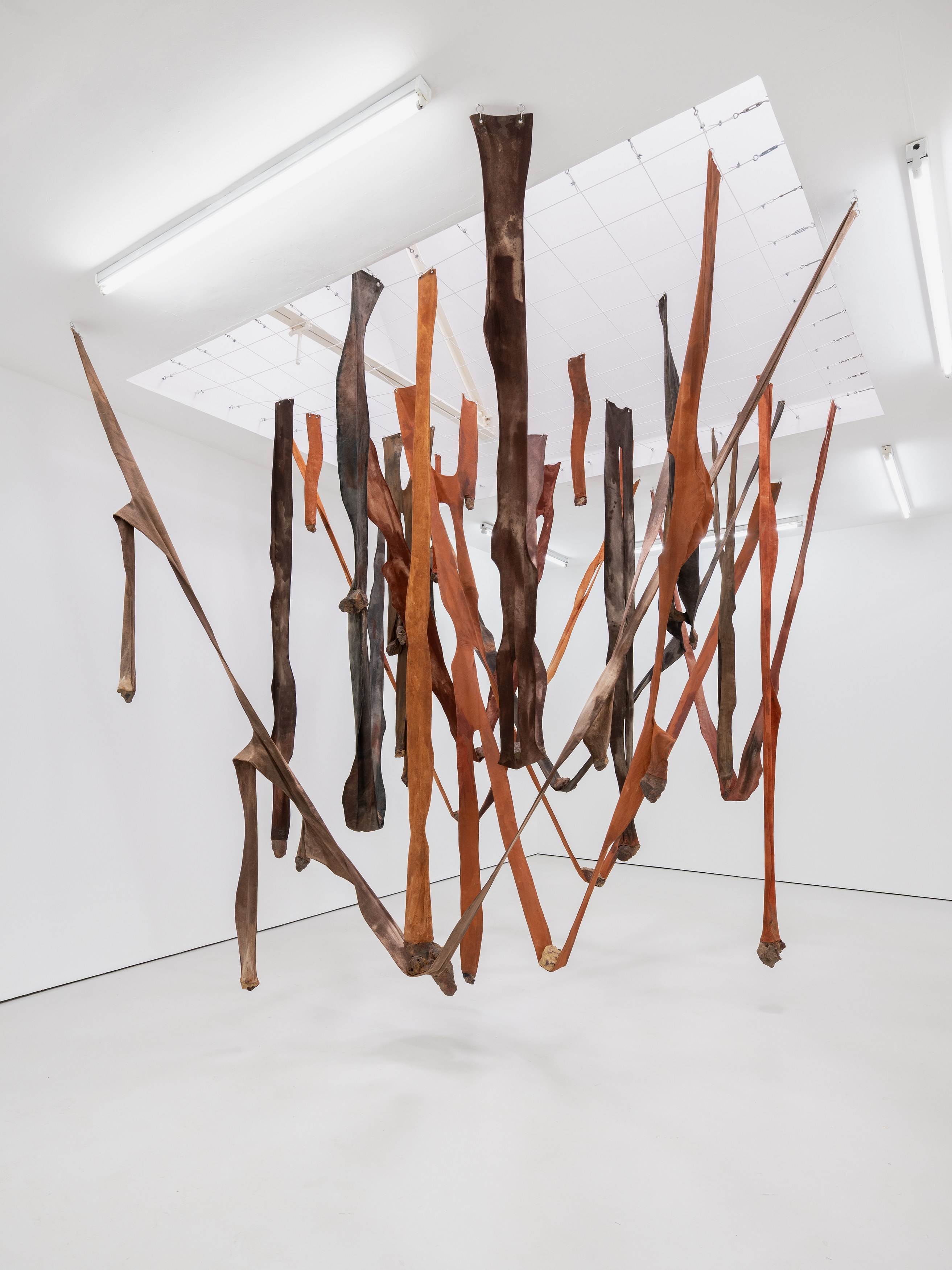 Marlene Almeida, Acute Earth at Carlos/Ishikawa, photo 11