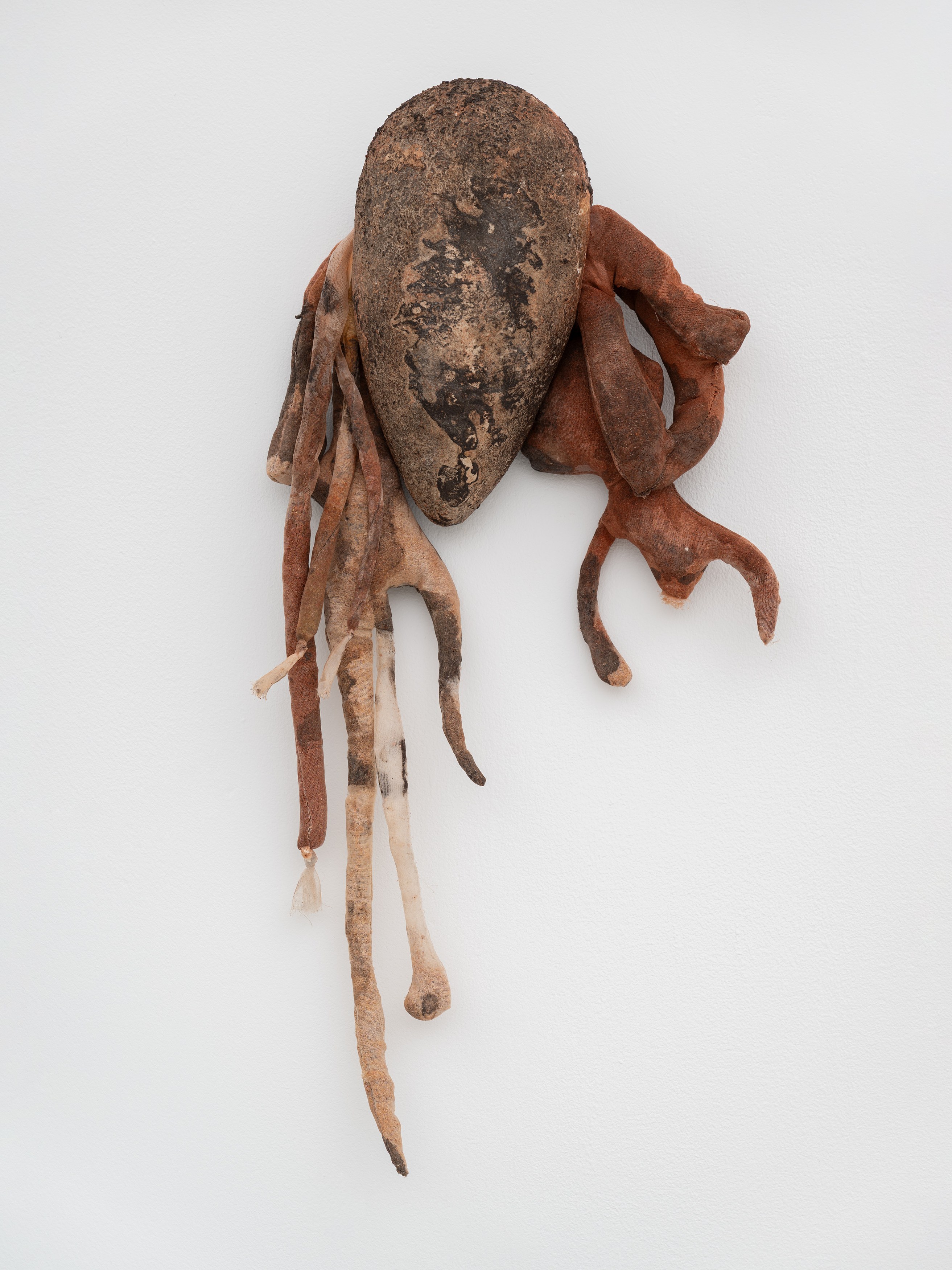 Marlene Almeida, Acute Earth at Carlos/Ishikawa, photo 12