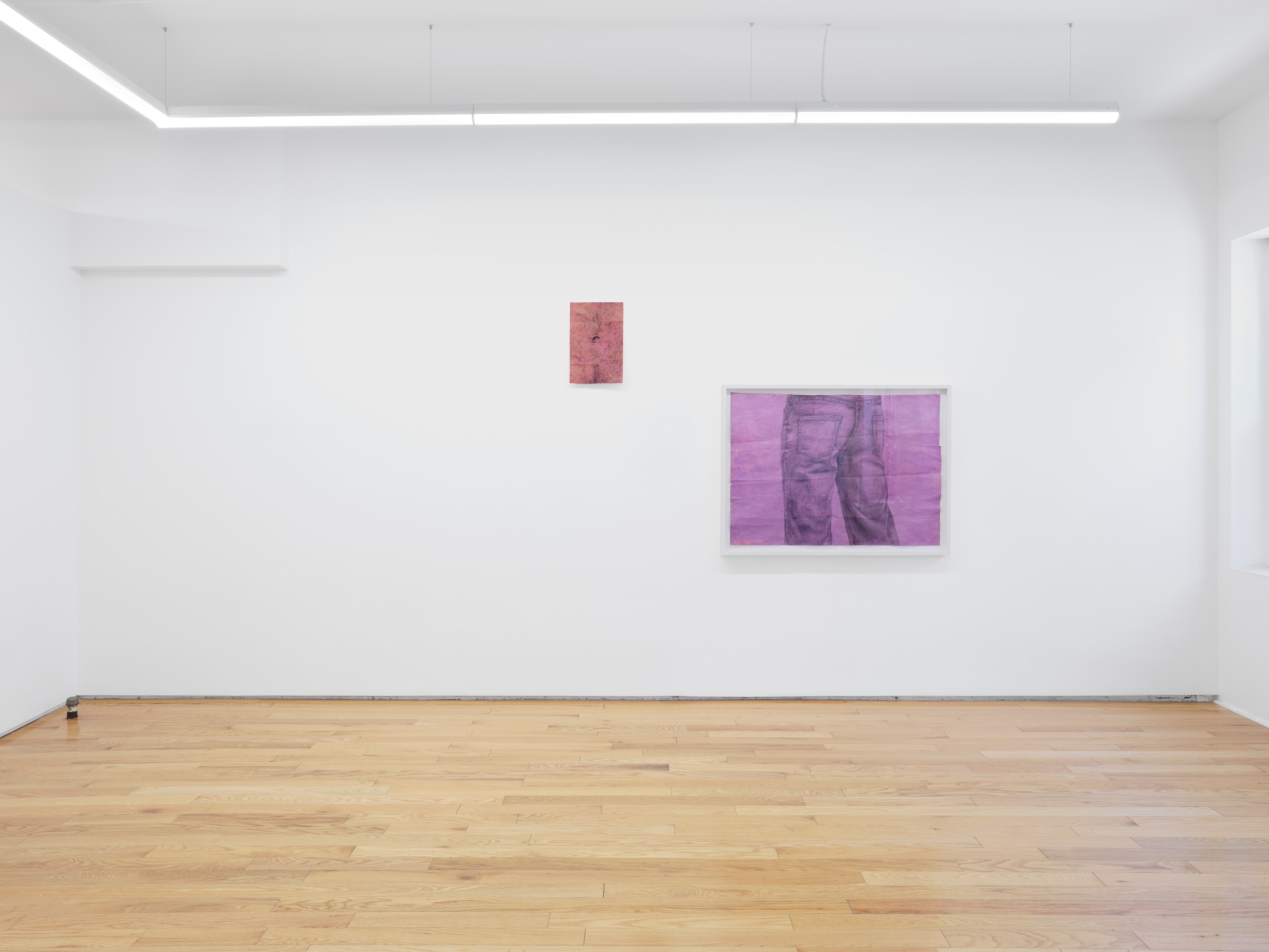 Z.T. Nguyễn, Facts Are Bigger in the Dark at Island, photo 6