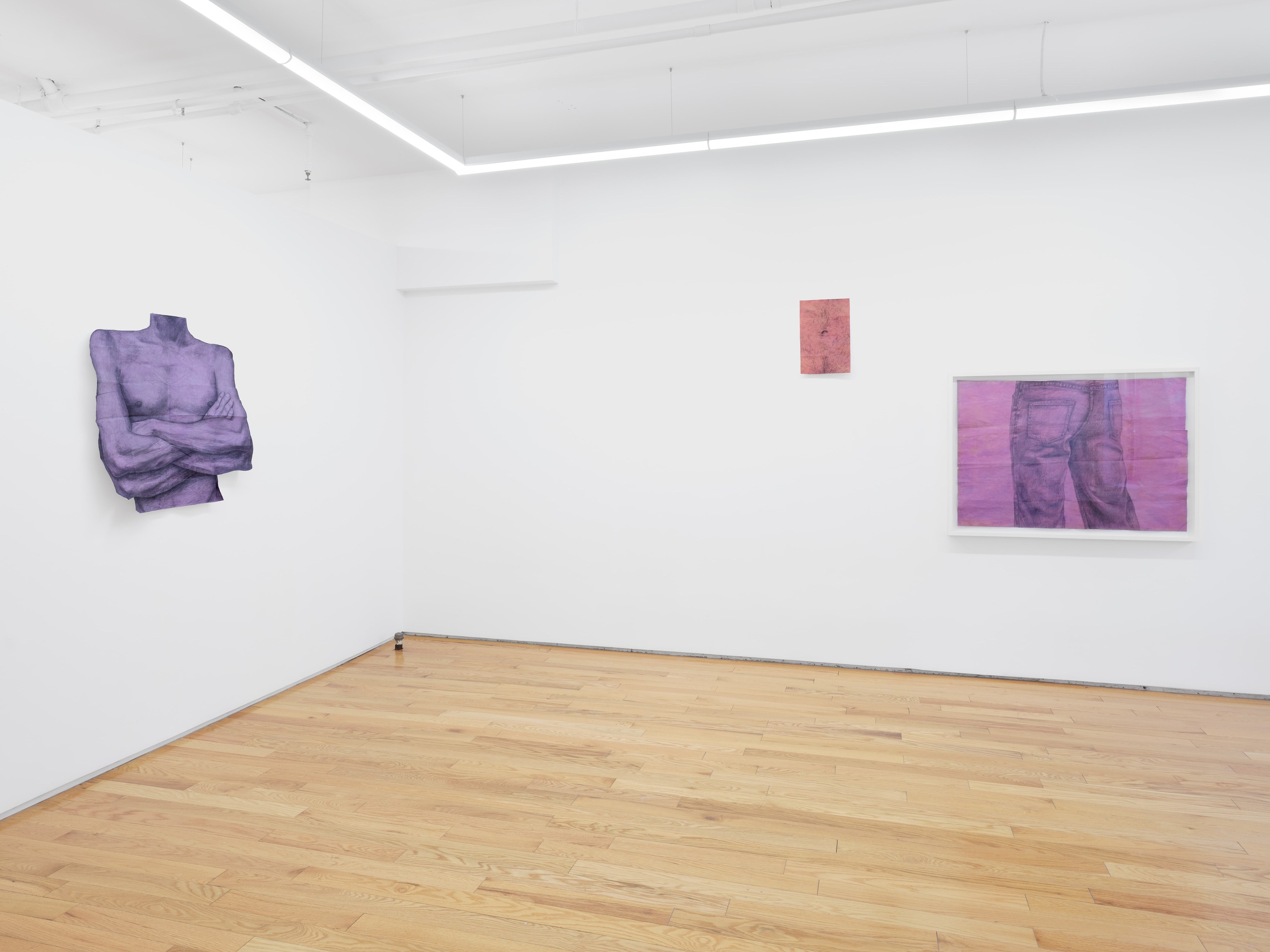 Z.T. Nguyễn, Facts Are Bigger in the Dark at Island, photo 7