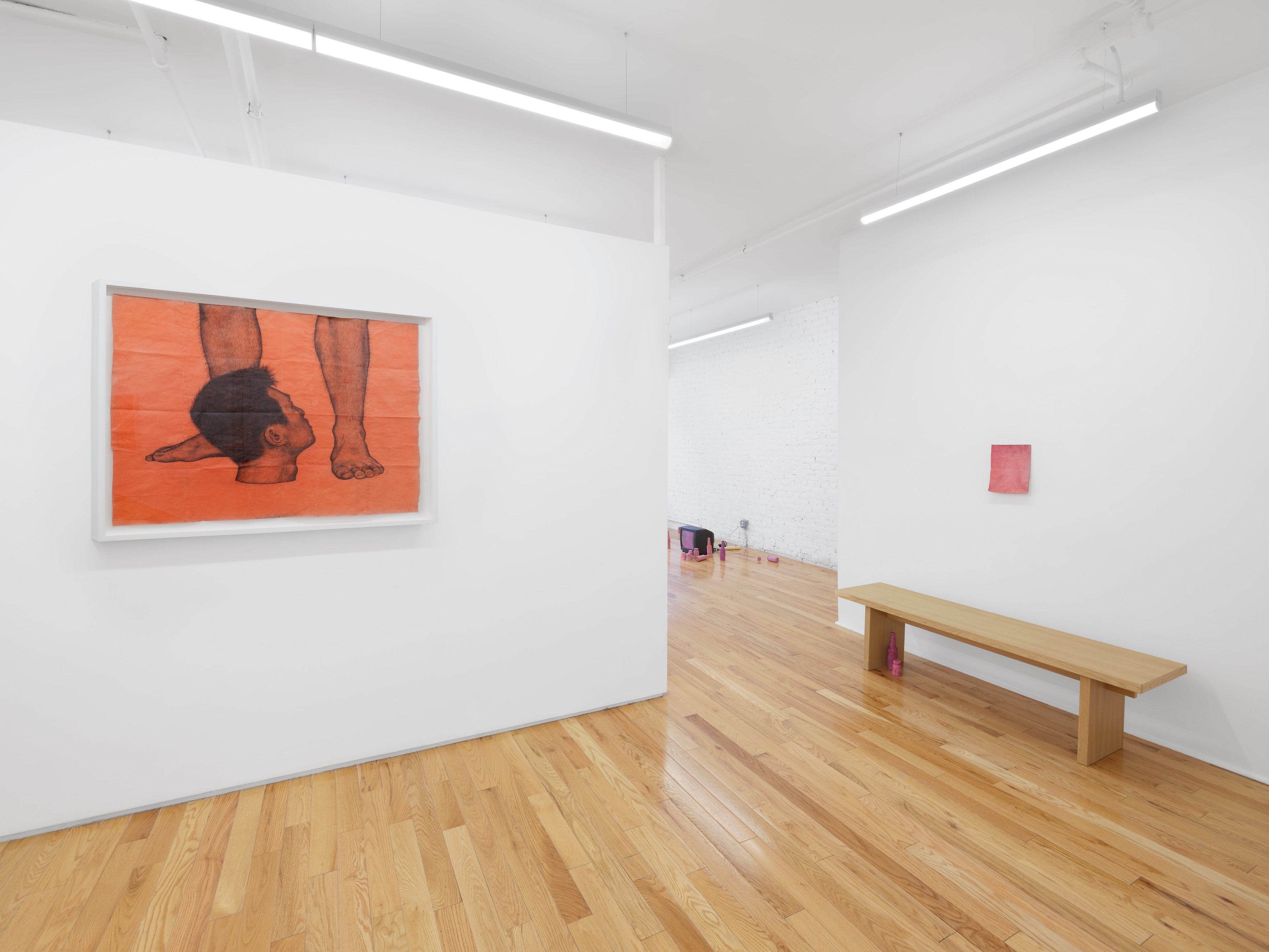Z.T. Nguyễn, Facts Are Bigger in the Dark at Island, photo 10