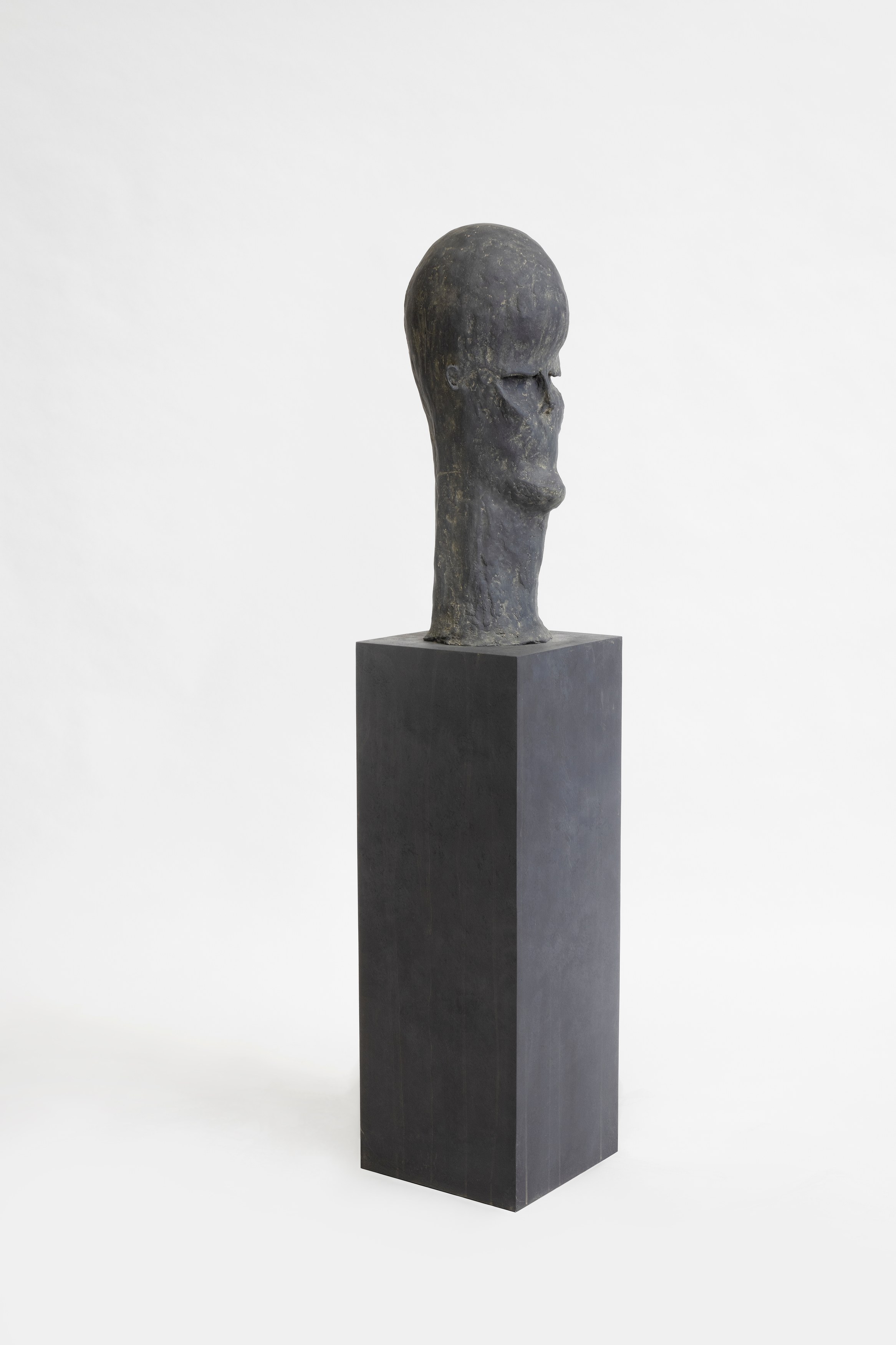 Pol Taburet, The Burden of Papa Tonnerre at Schinkel Pavillon, photo 16