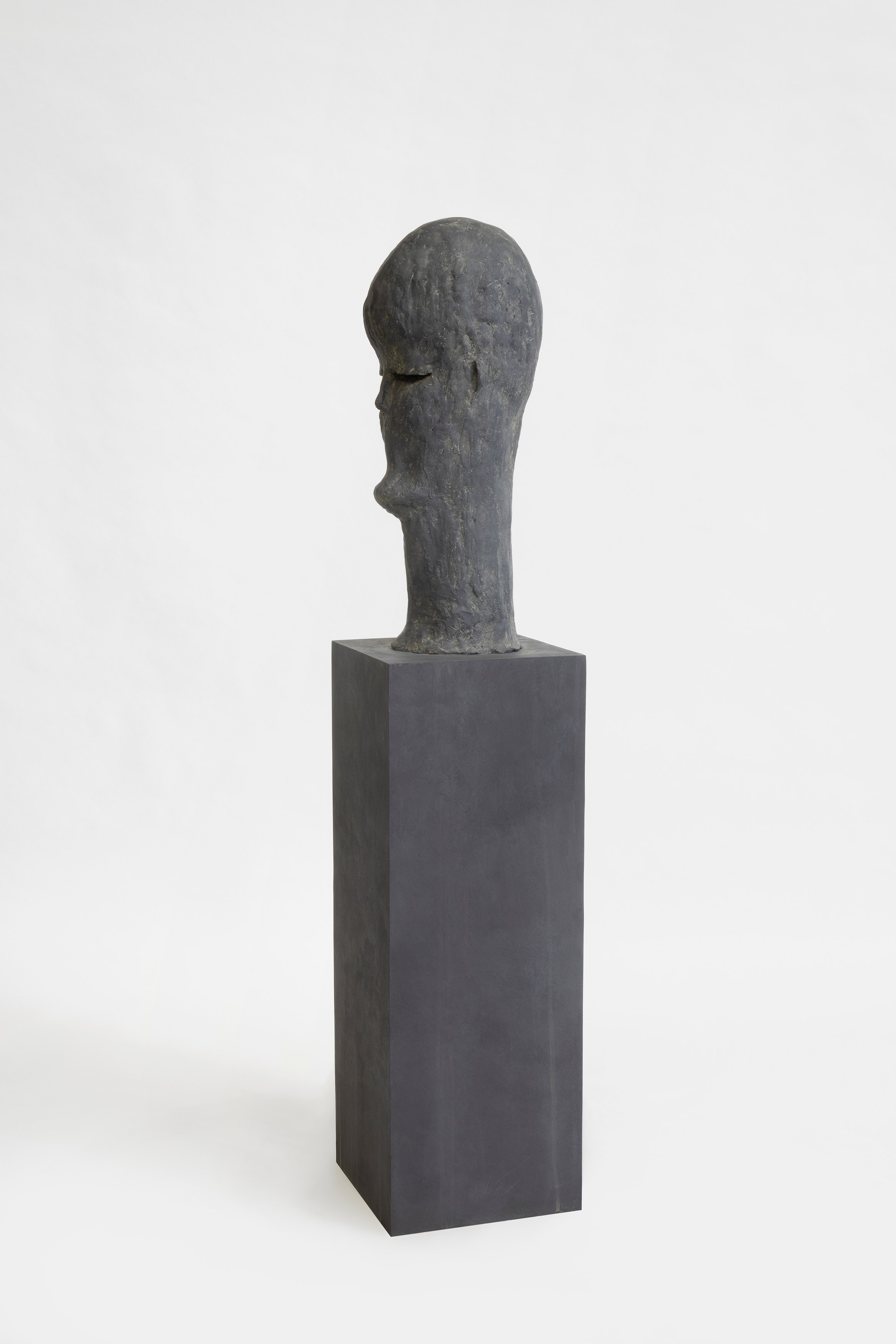 Pol Taburet, The Burden of Papa Tonnerre at Schinkel Pavillon, photo 17