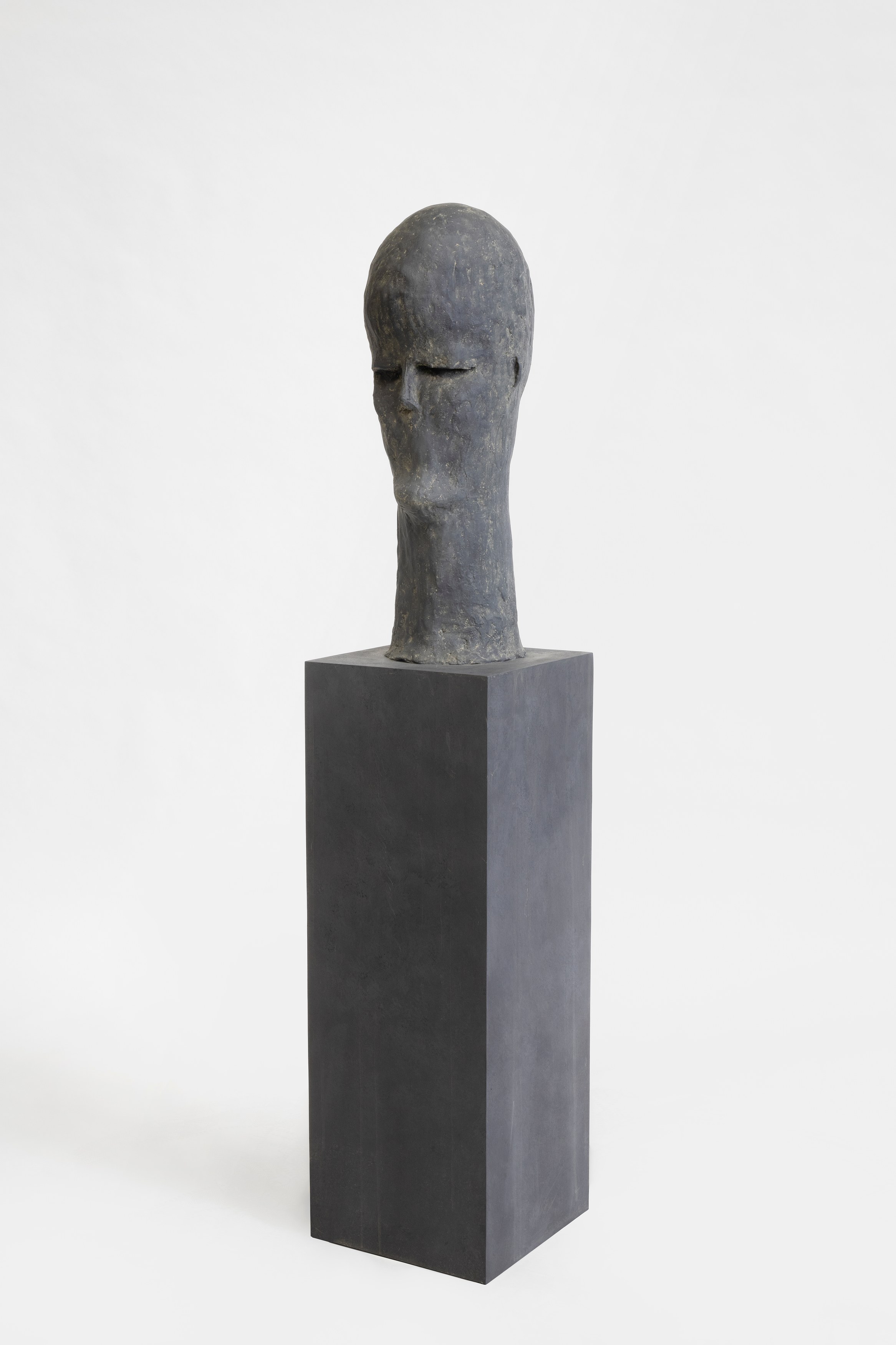 Pol Taburet, The Burden of Papa Tonnerre at Schinkel Pavillon, photo 18