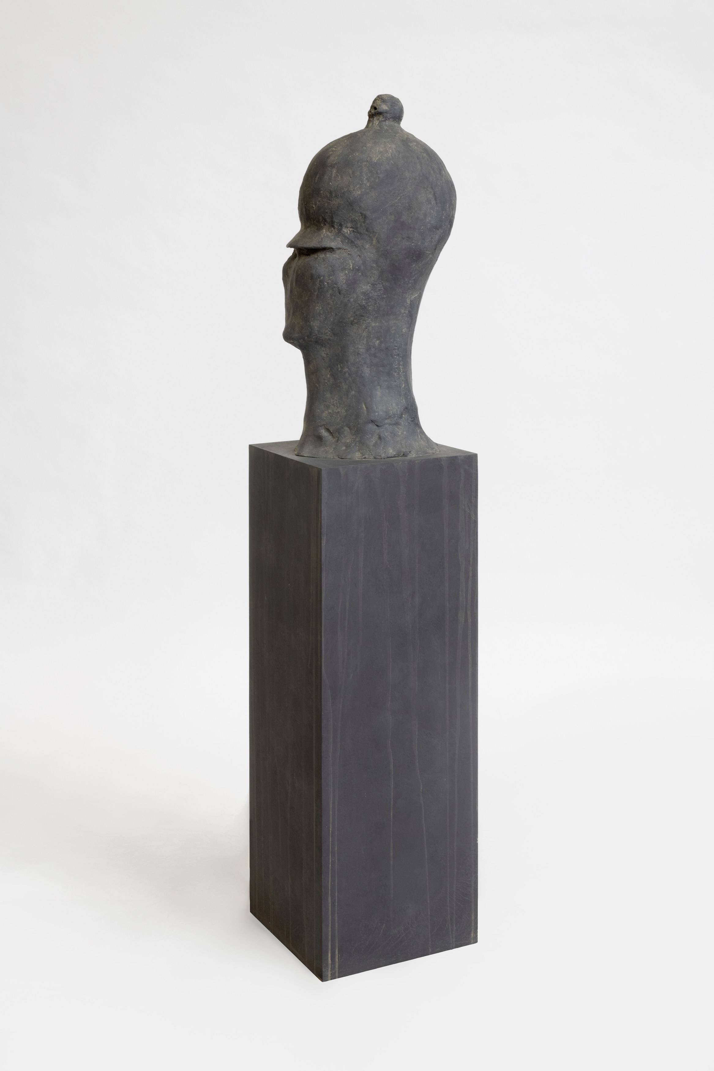 Pol Taburet, The Burden of Papa Tonnerre at Schinkel Pavillon, photo 26