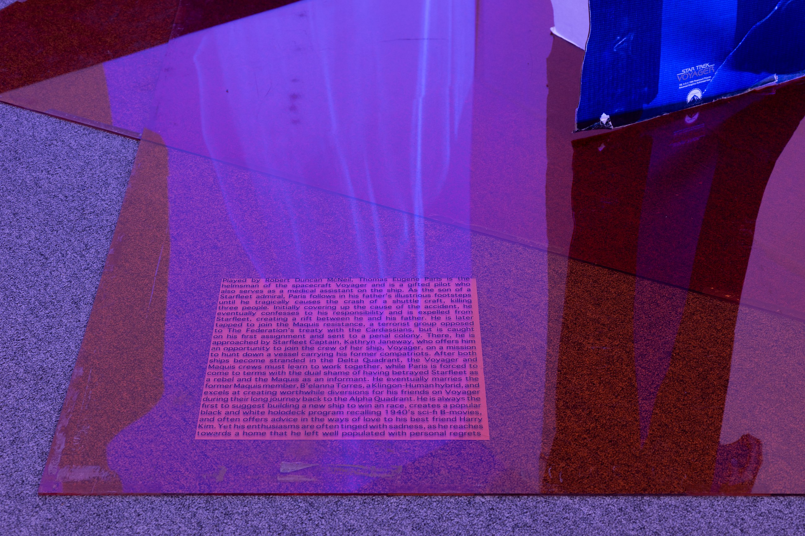 Lutz Bacher, Into the Dimensional Corridor at Galerie Buchholz, Berlin, photo 4