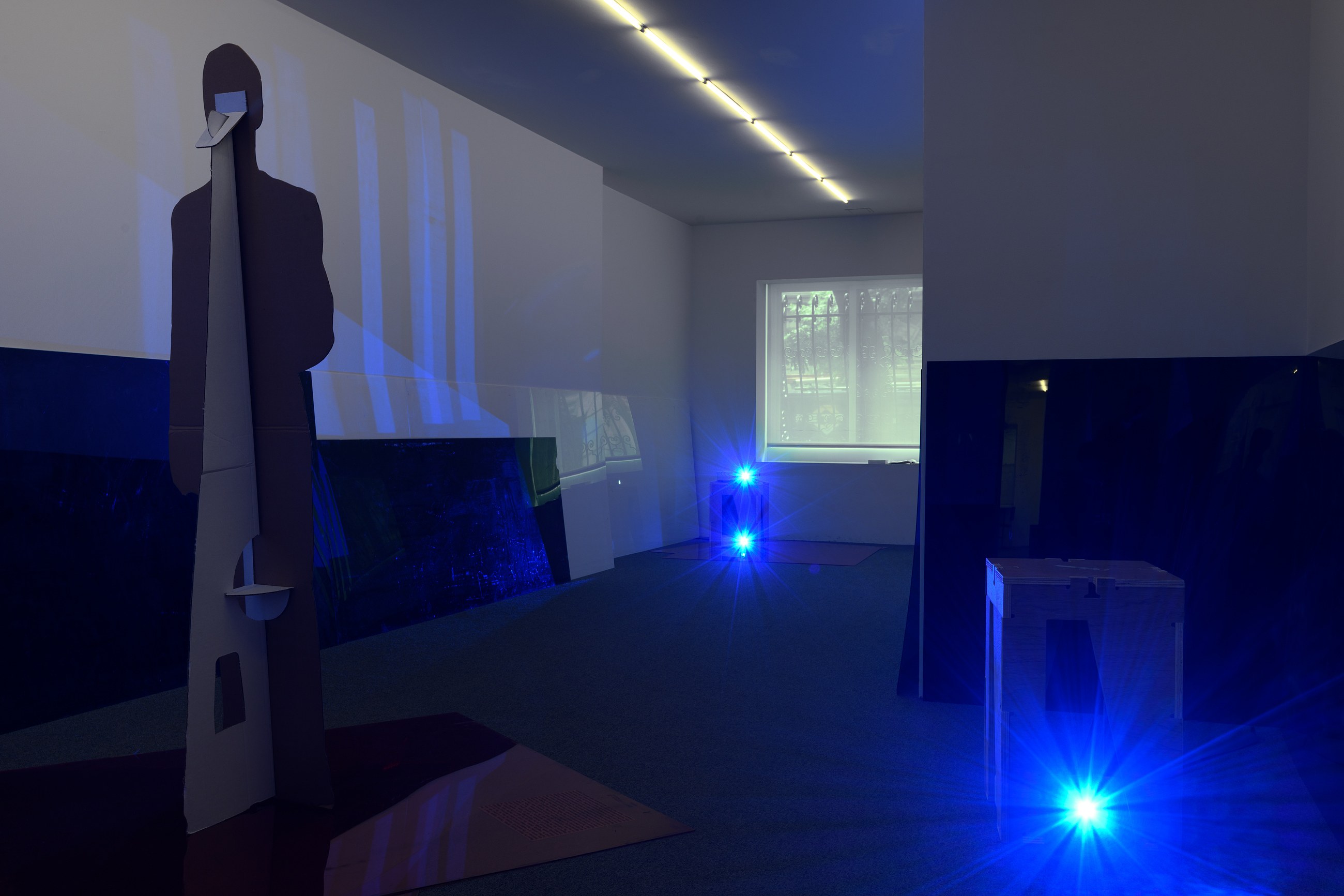 Lutz Bacher, Into the Dimensional Corridor at Galerie Buchholz, Berlin, photo 6